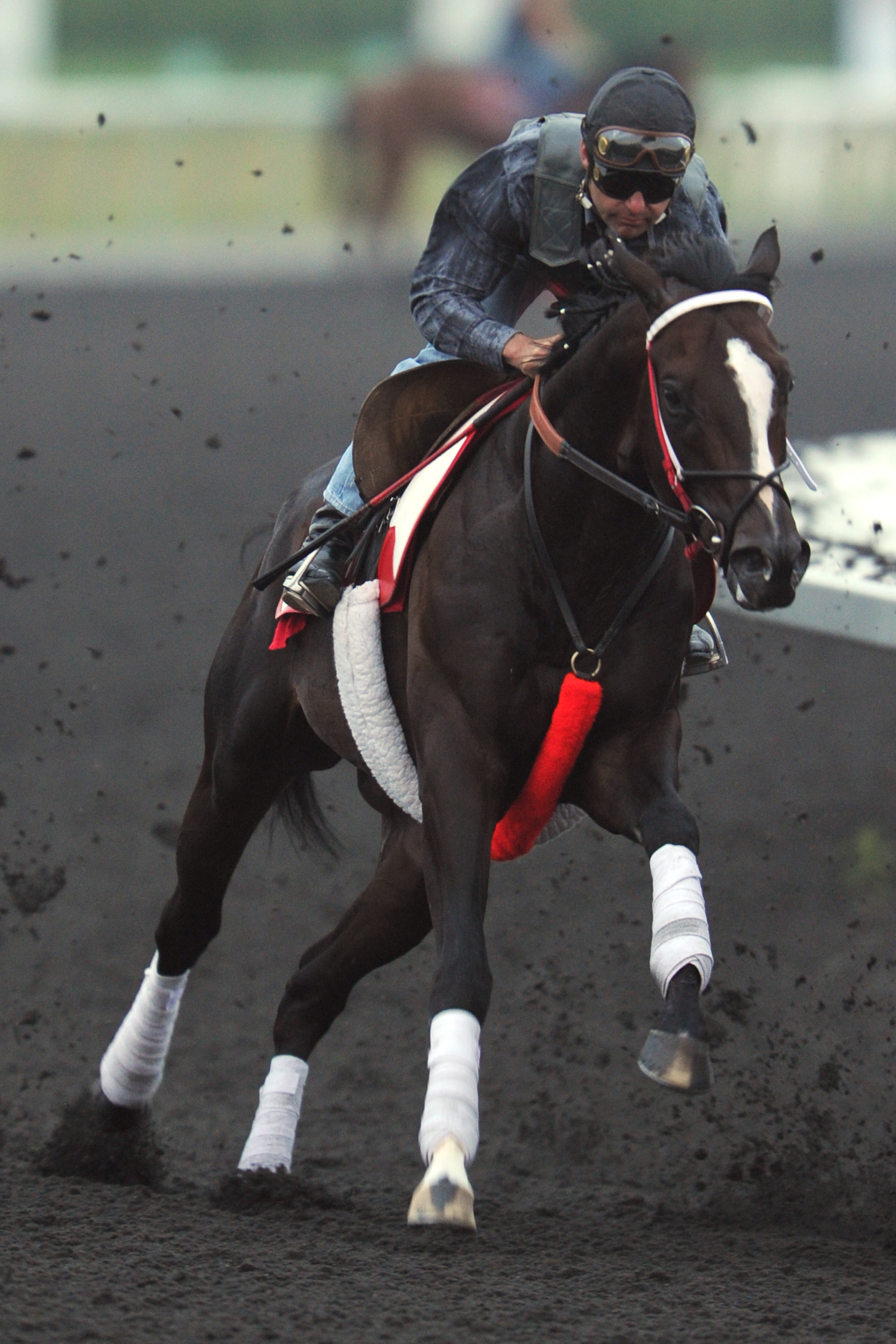 Classic Bryce breezes at Woodbine