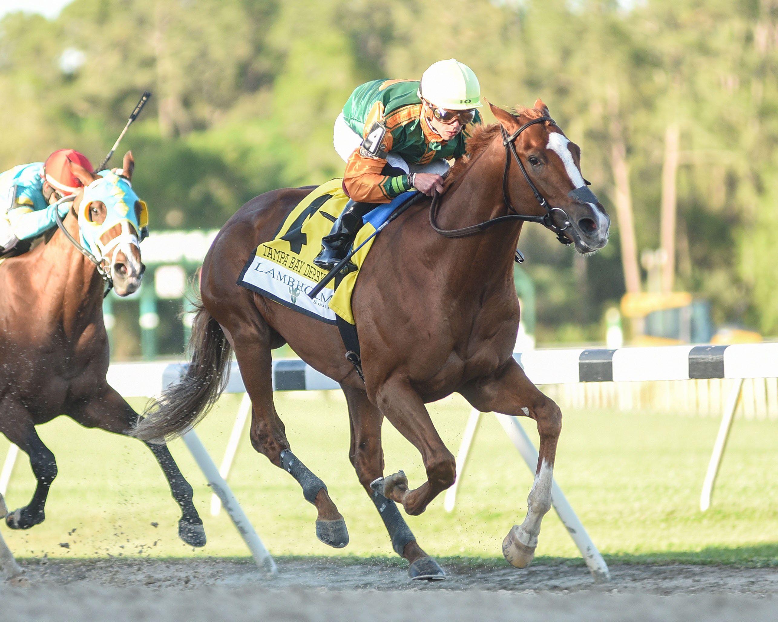 Classic Causeway - Tampa Bay Derby 2022