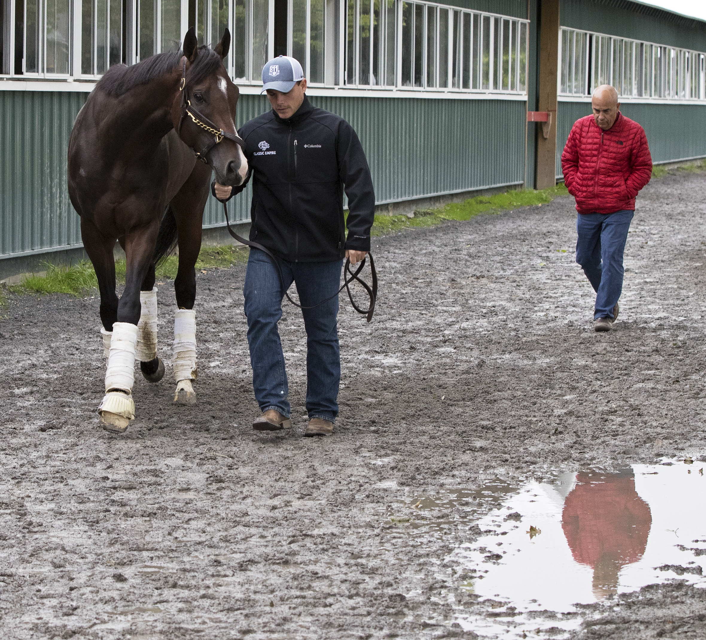 Classic Empire at Belmont Park with Norman and Mark Casse