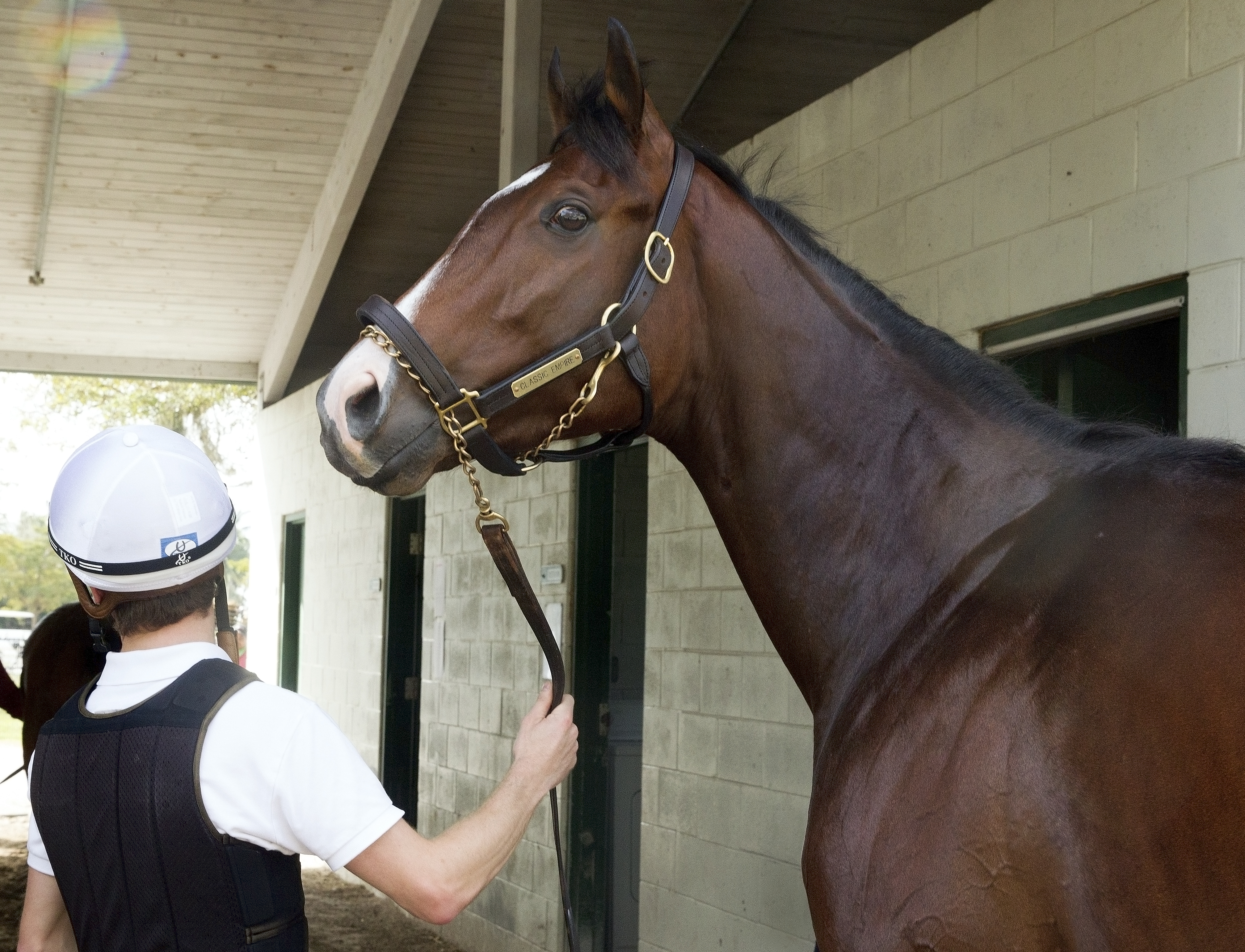 Classic Empire at Gulfstream Park