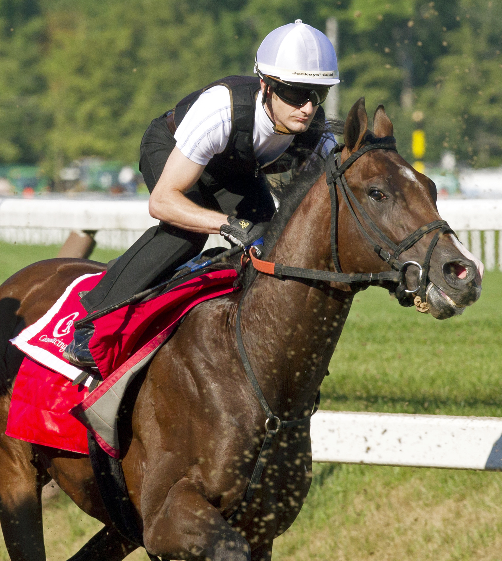 Classic Empire trains at Saratoga on Aug. 4