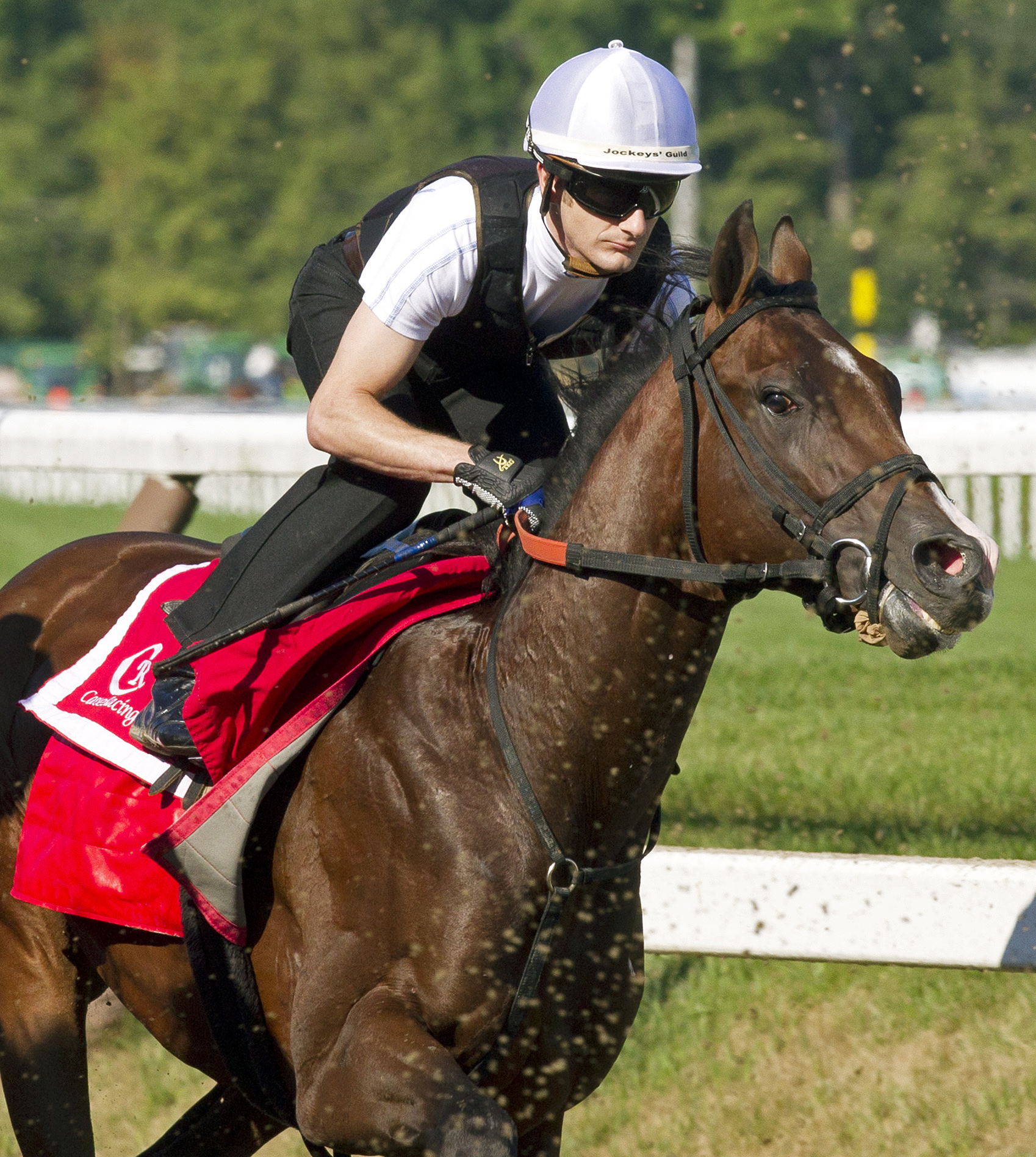 Classic Empire trains at Saratoga on Aug. 4