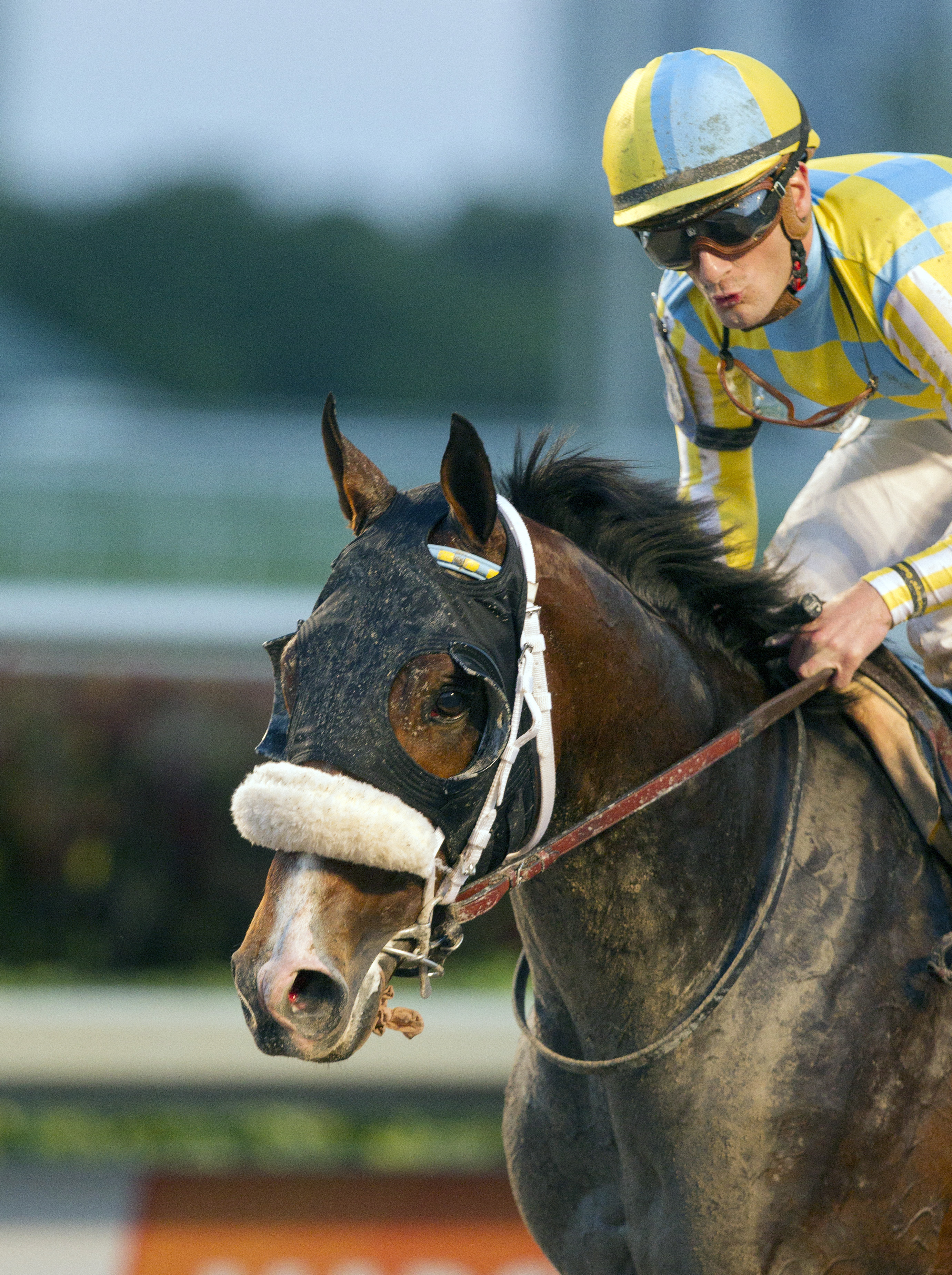 Classic Empire finishes third in the Holy Bull