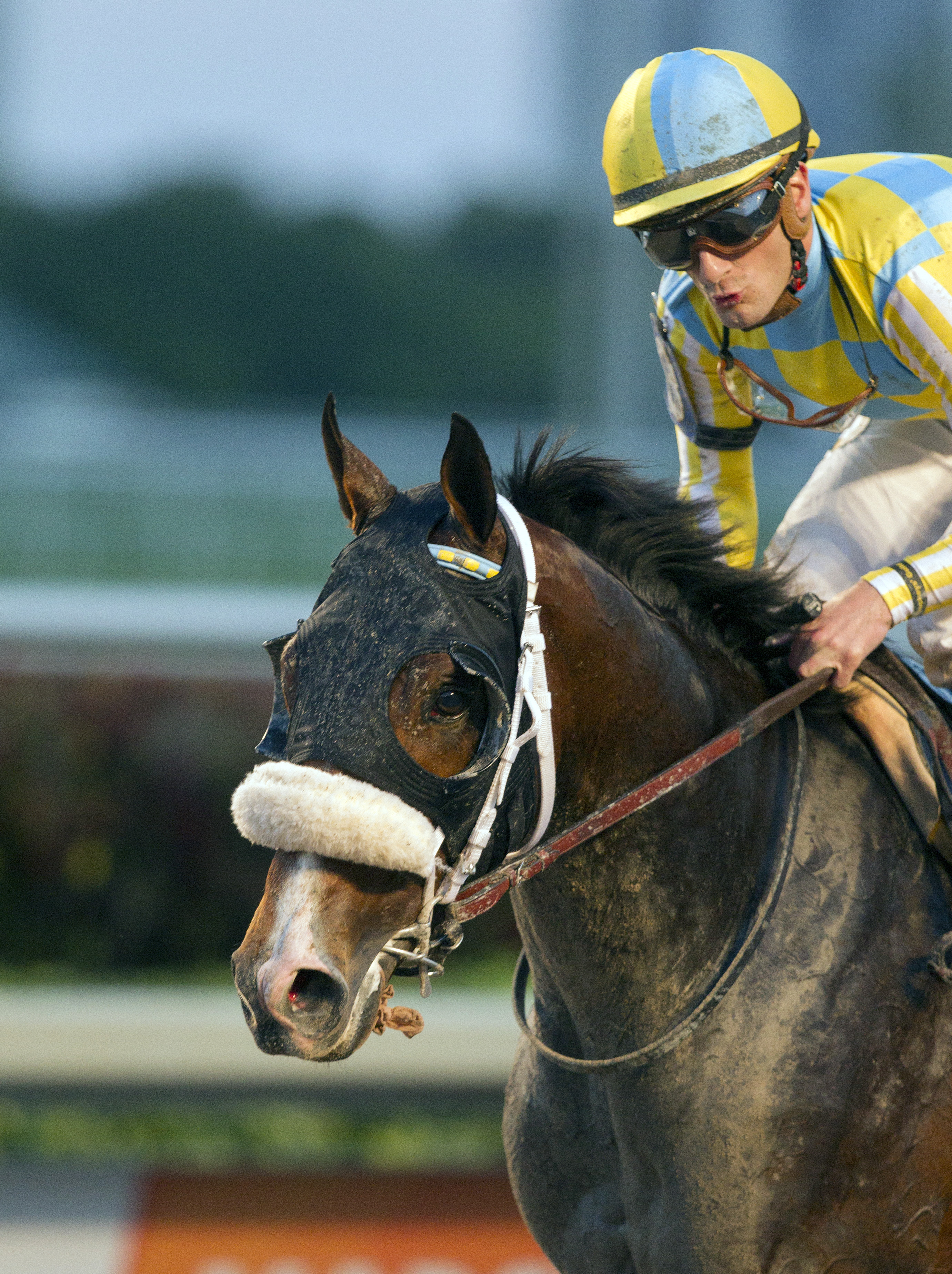 Classic Empire finishes third in the Holy Bull