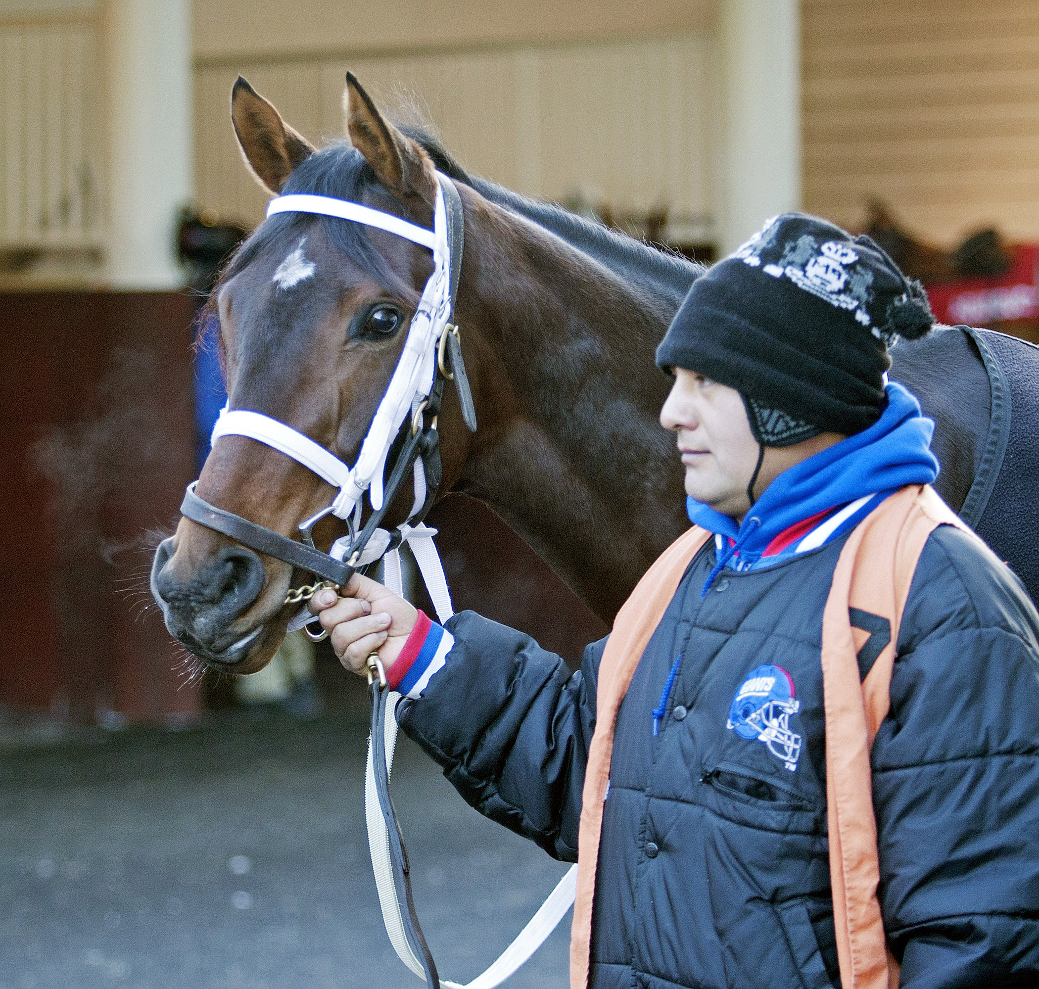 Classic Giacnroll at Aqueduct in January