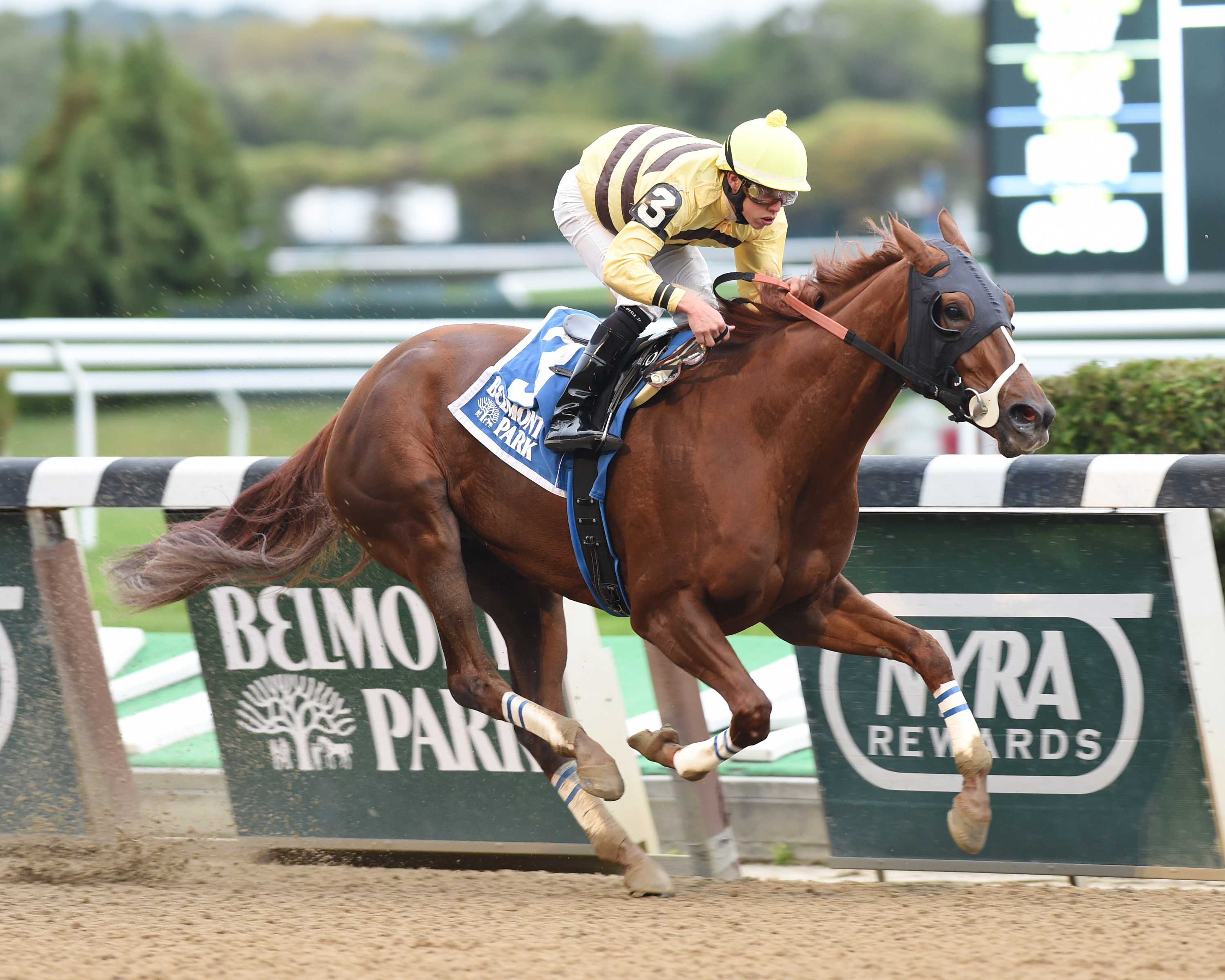Belmont: Classic Point back for seconds