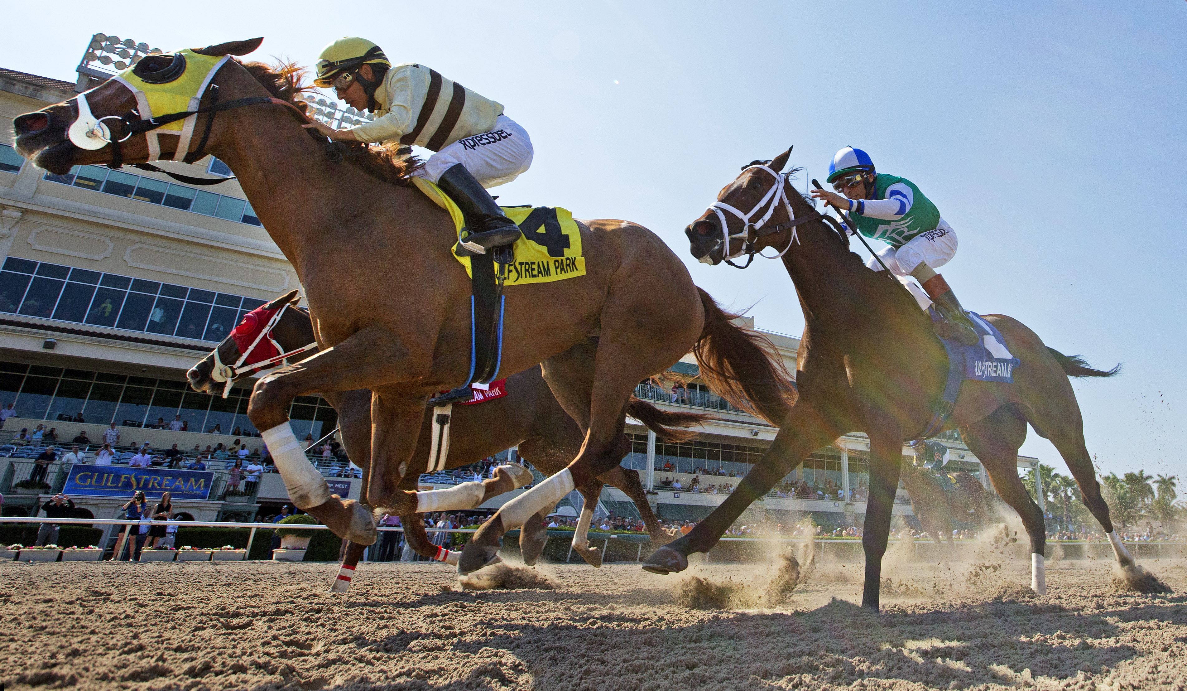 Classic Point wins 2015 Inside Information