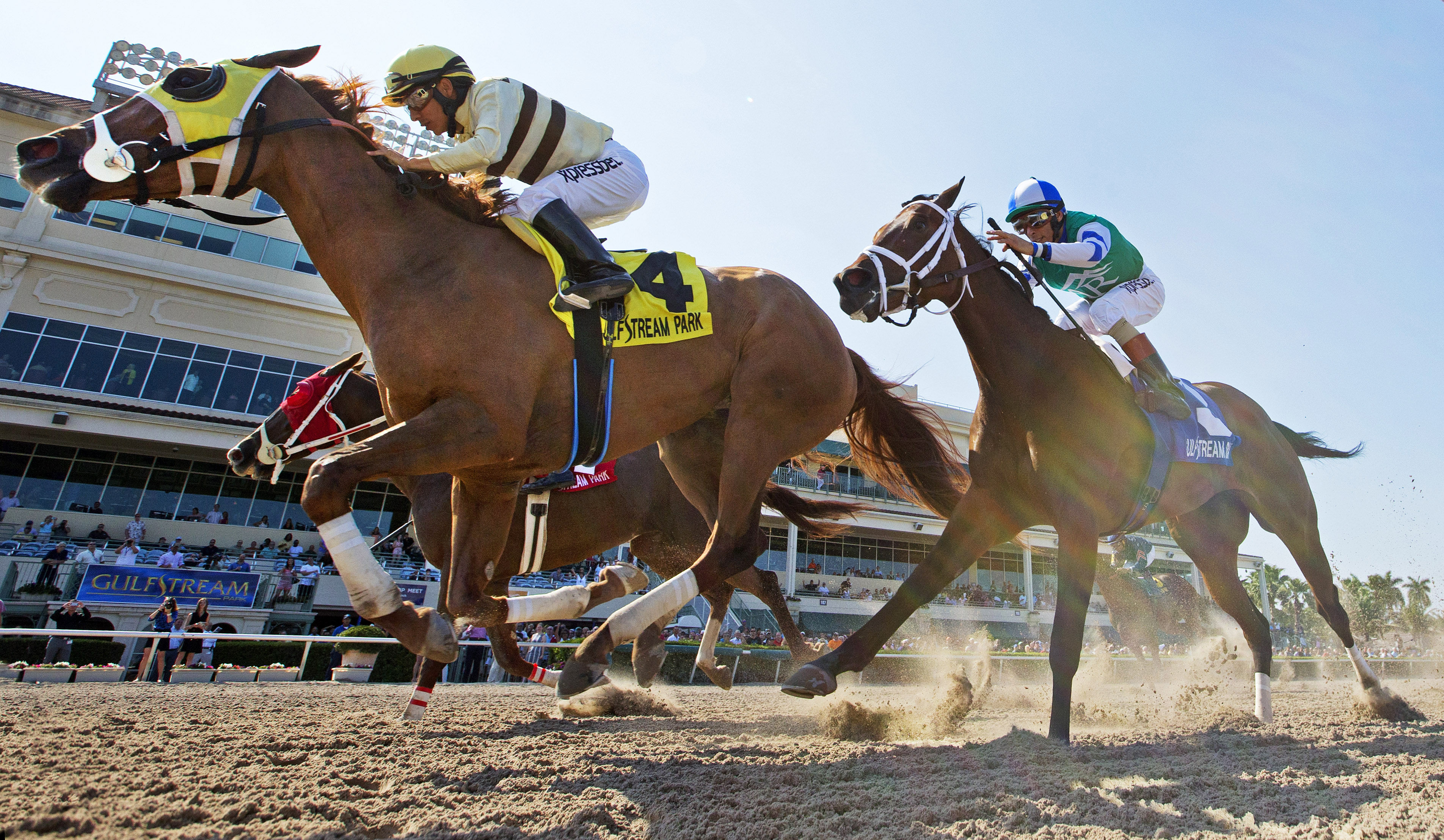Classic Point wins the Inside Information Stakes
