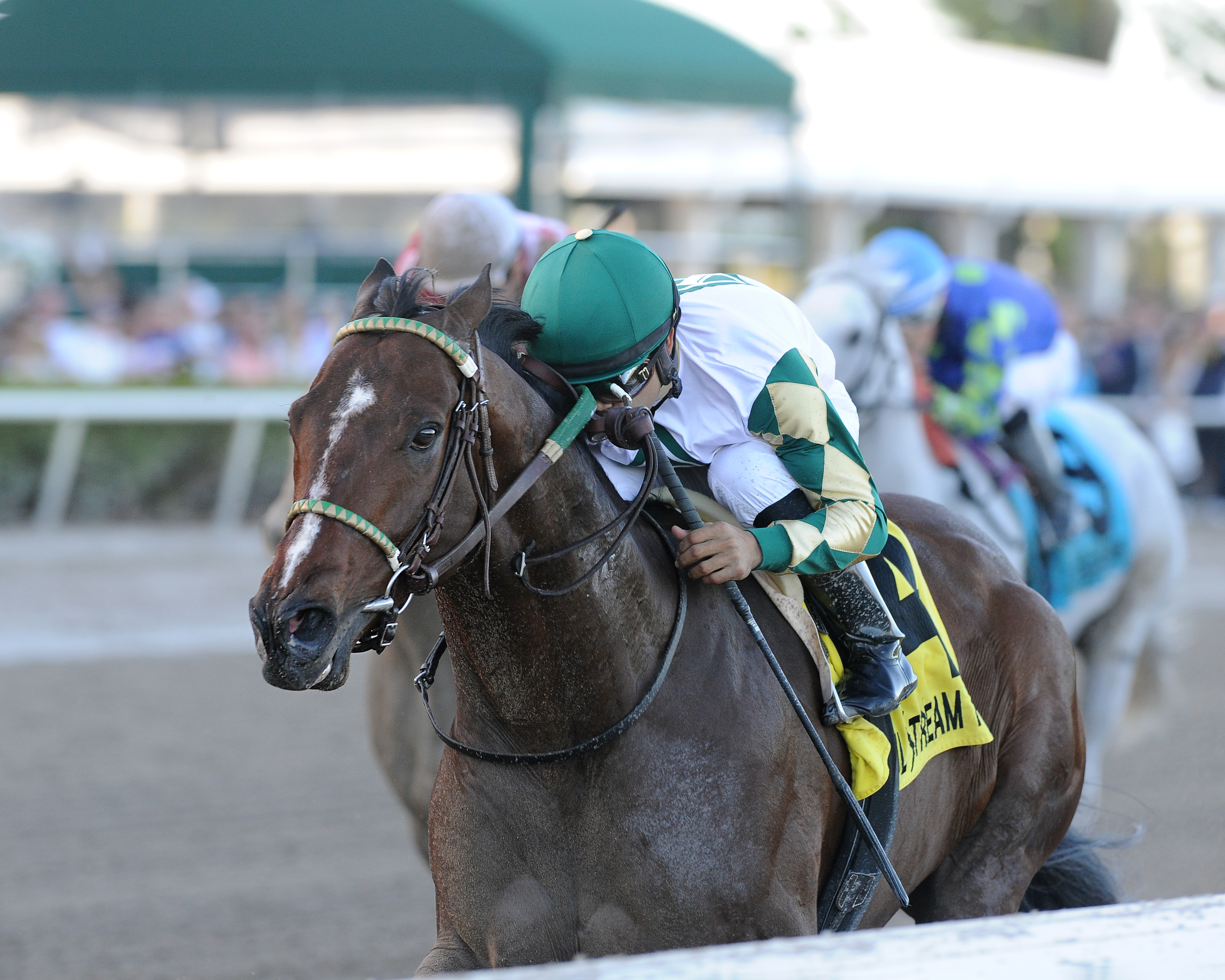 Classic Rock wins the 2018 Gulfstream Park Sprint Stakes