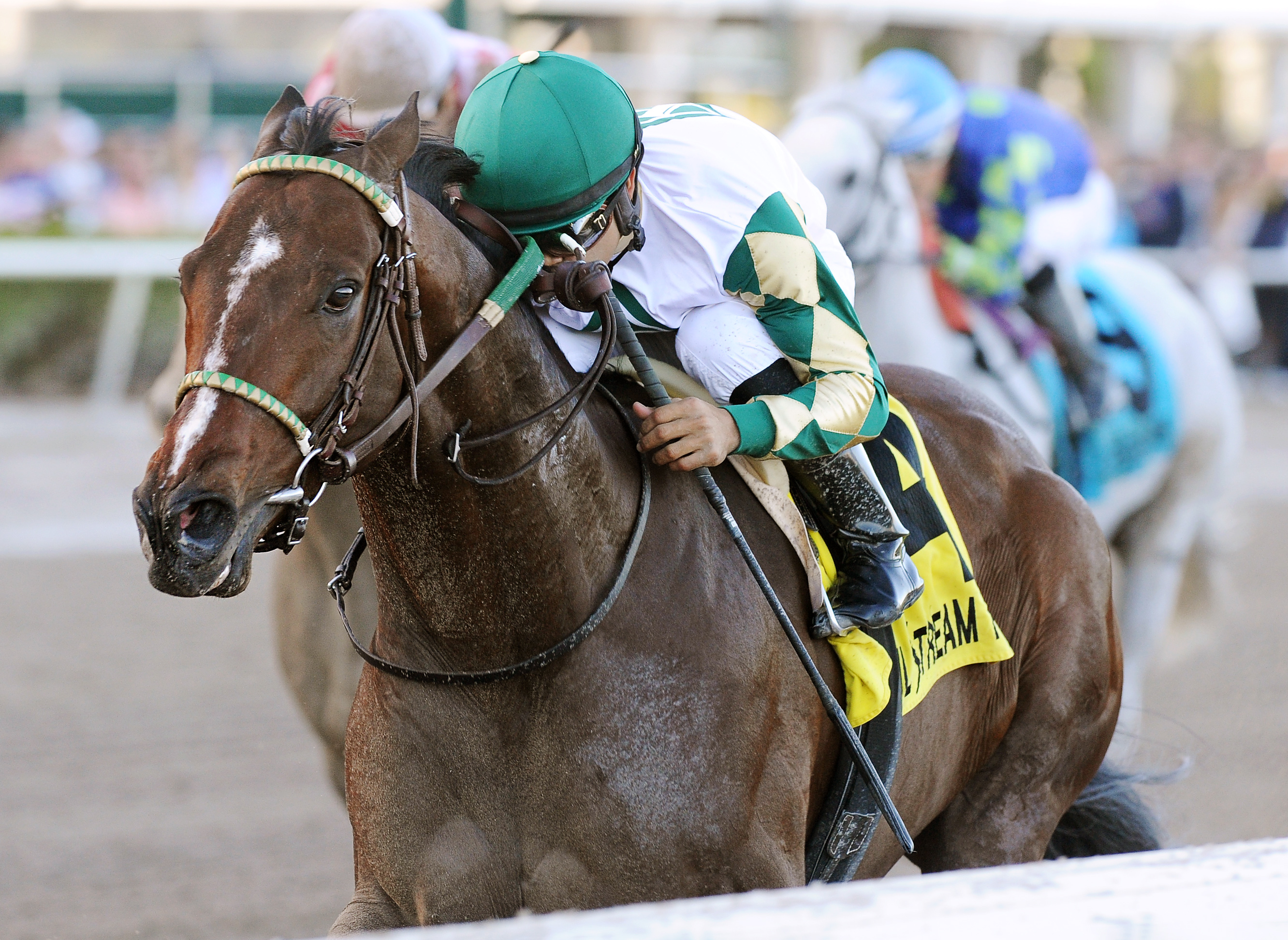 Classic Rock wins the 2018 Gulfstream Park Sprint