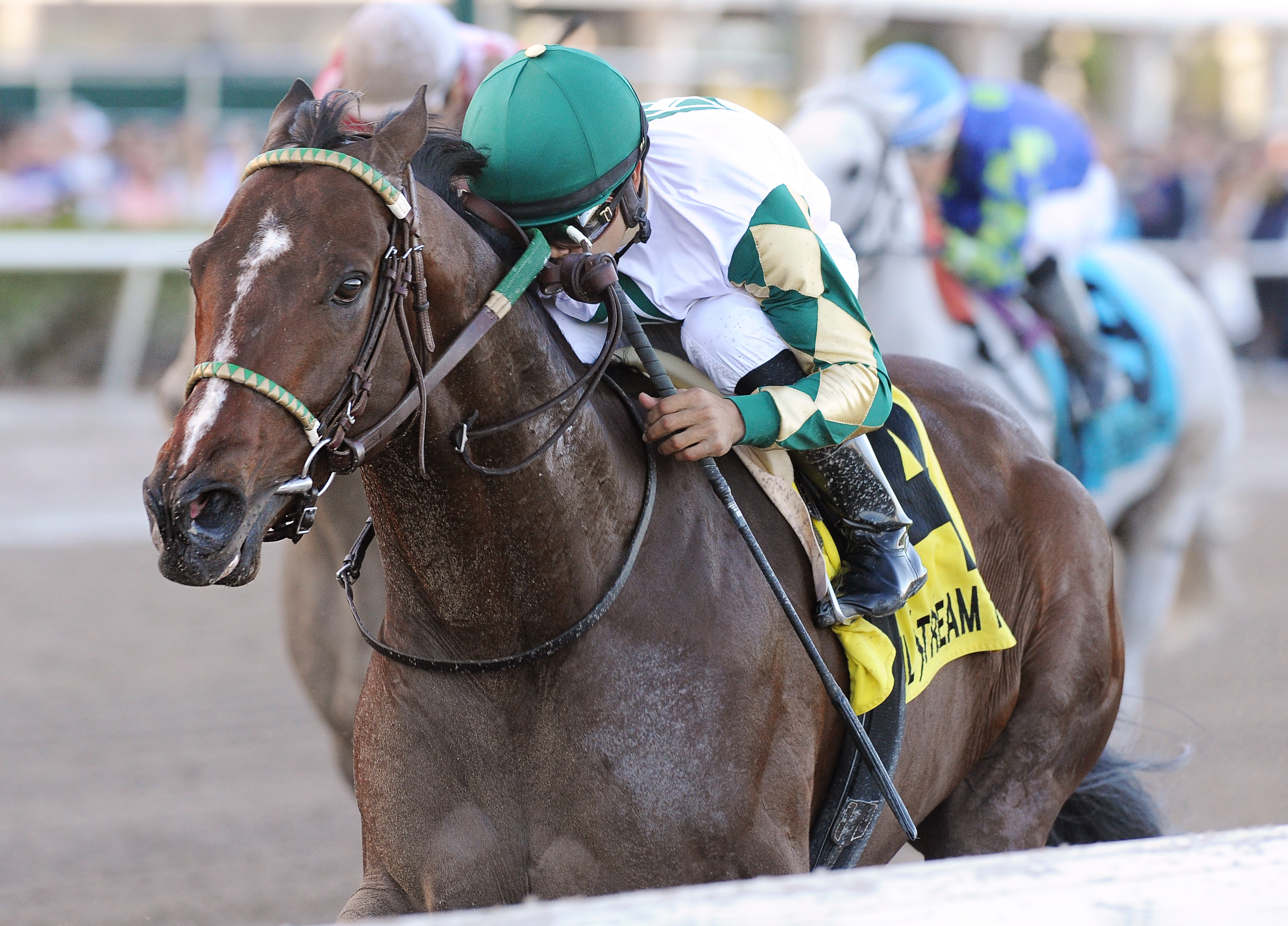 Classic Rock wins the 2018 Gulfstream Park Sprint