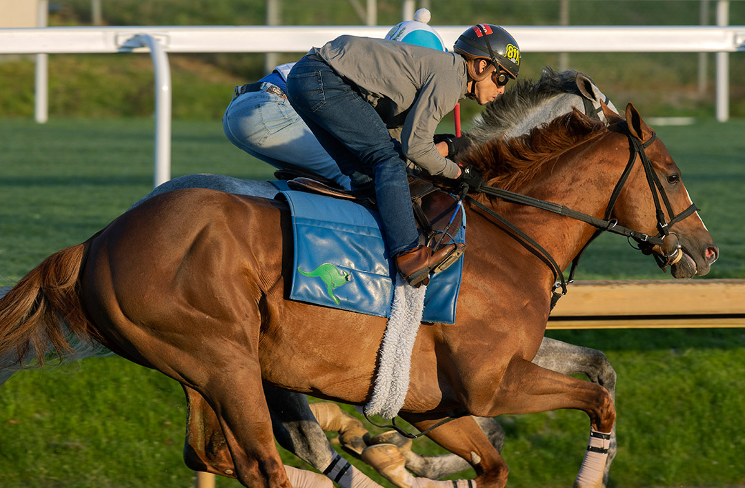 Classic Causeway trains at Churchill Downs on April 23