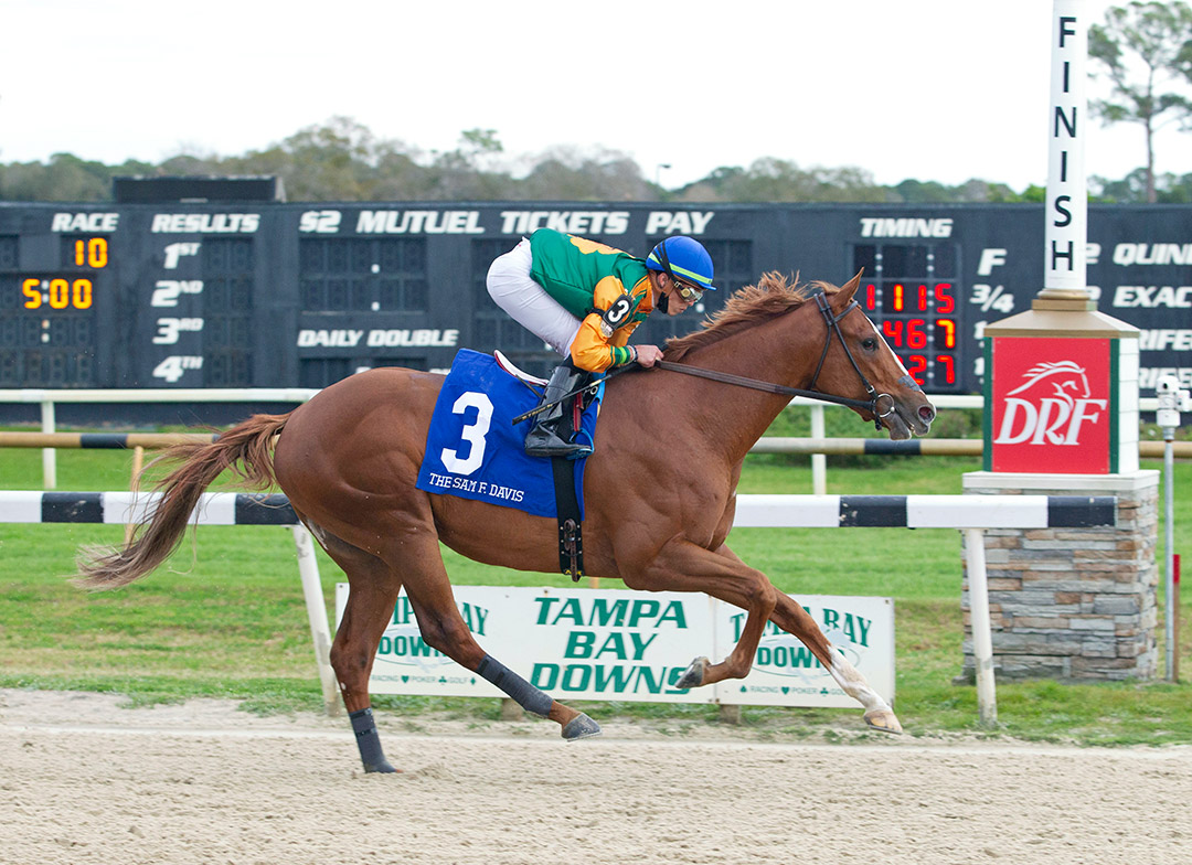 Classic Causeway wins the 2022 Sam F. Davis Stakes at Tampa Bay Derby