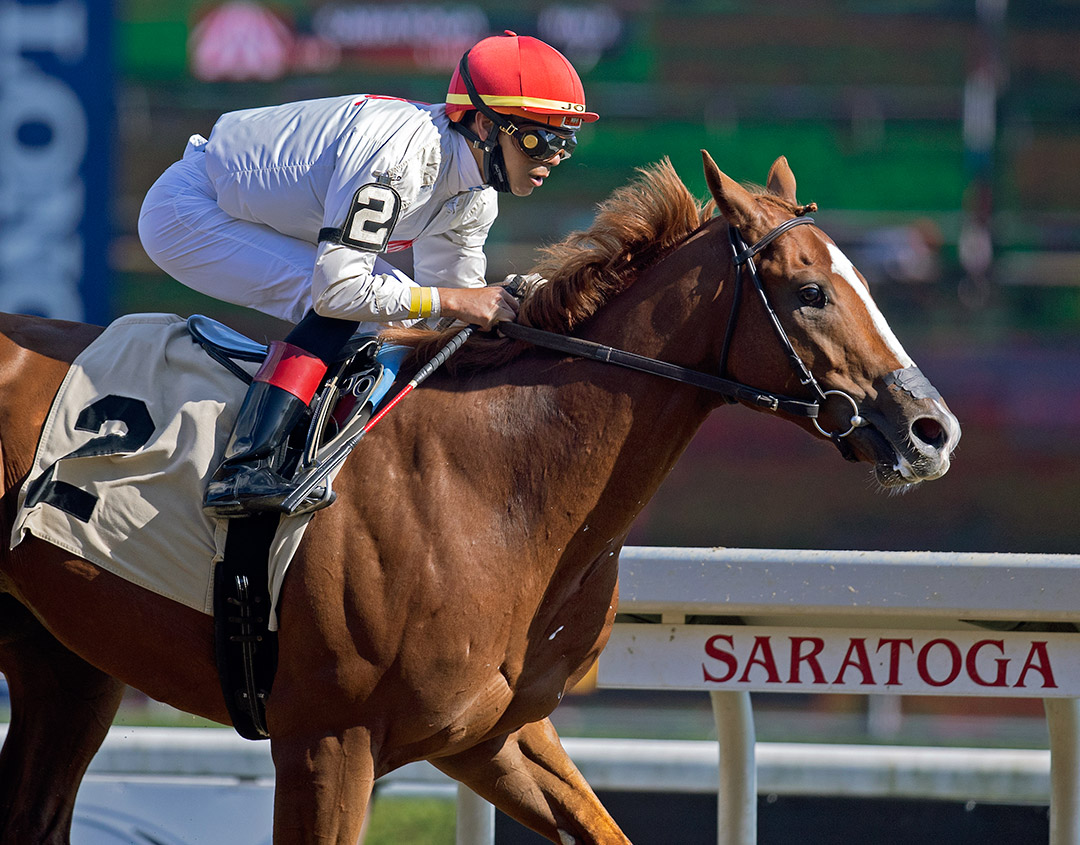 Classic Causeway wins a Sept. 4 maiden race at Saratoga Race Course