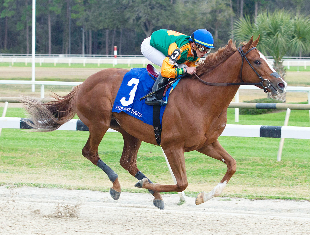 Classic Causeway wins the 2022 Sam F. Davis Stakes at Tampa Bay Downs