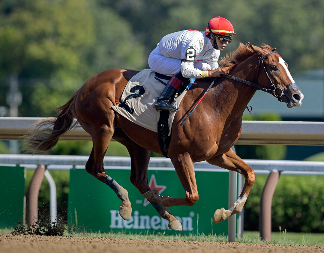 Classic Causeway wins a Sept. 4 maiden race at Saratoga