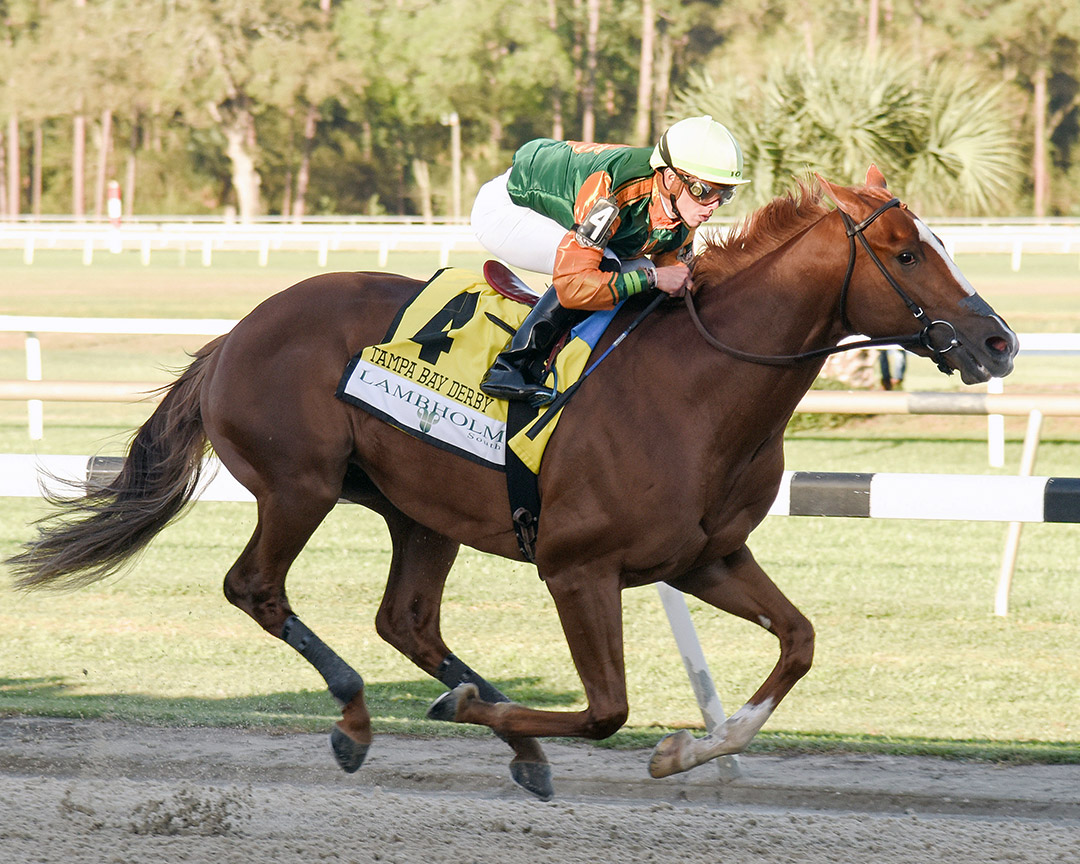 Classic Causeway wins the 2022 Tampa Bay Derby at Tampa Bay Downs