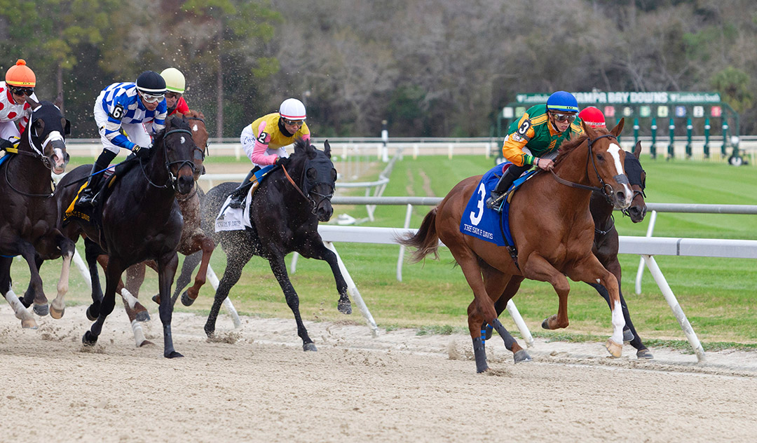 Classic Causeway wins the 2022 Sam F. Davis Stakes at Tampa Bay Downs