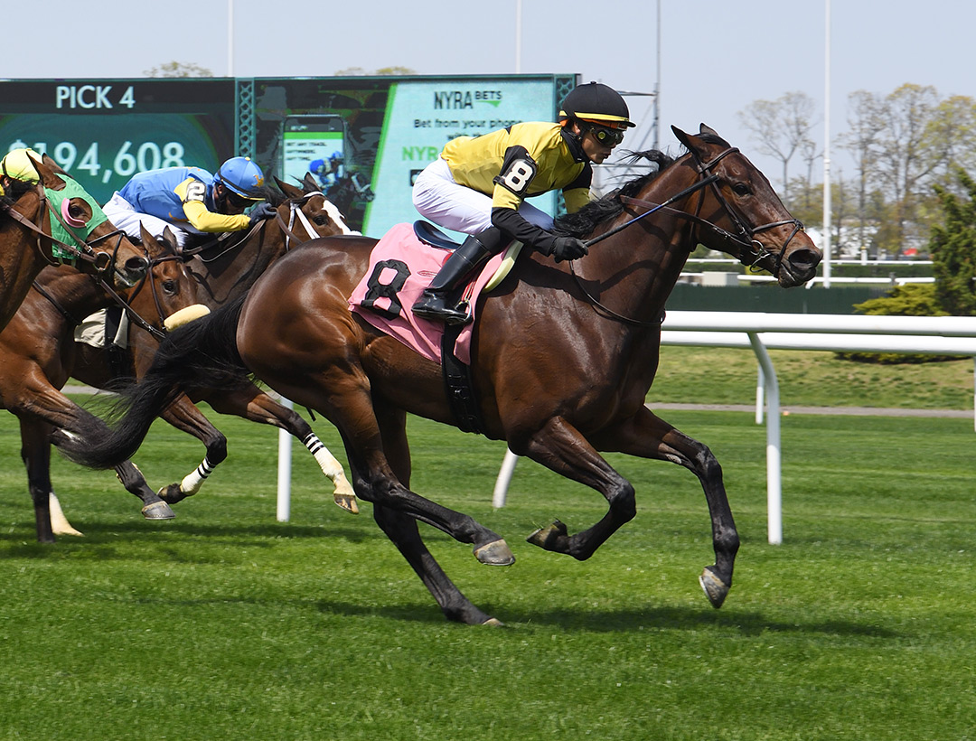 Classic Colors wins an April 24 allowance at Belmont Park