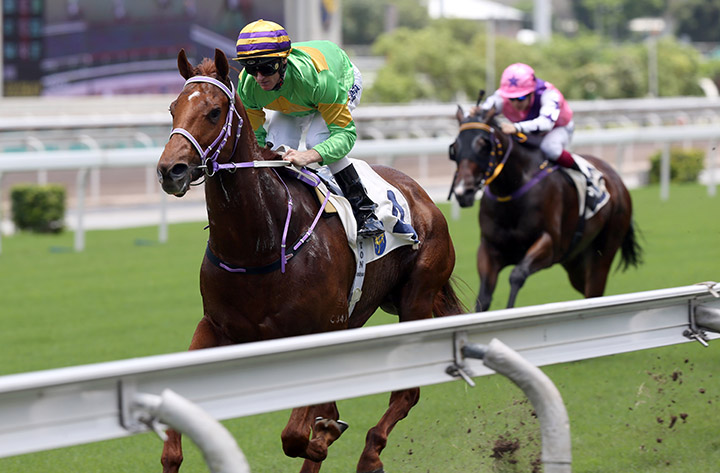 Classic Unicorn wins his career debut at Sha Tin Racecourse on June 2, 2019