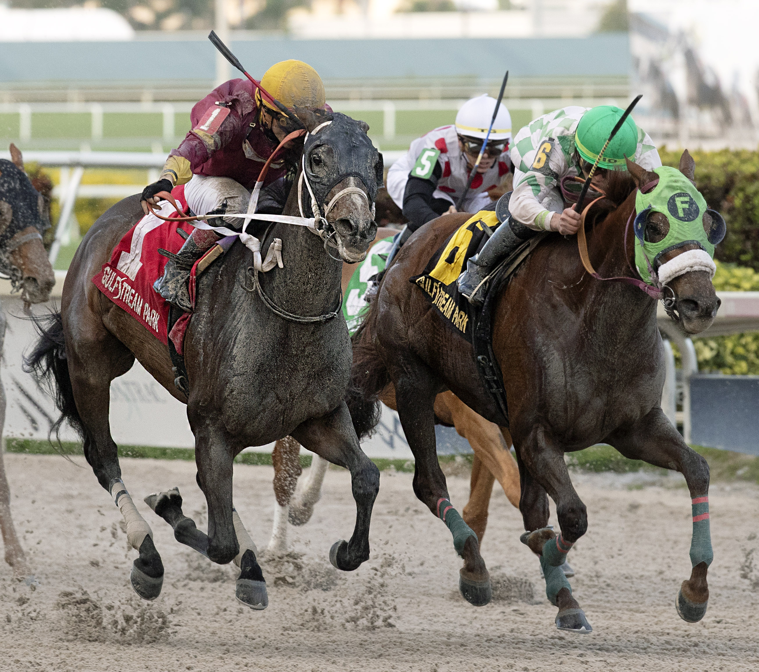 Noble Drama - No. 1, center - wins the 2020 Sunshine Millions Classic