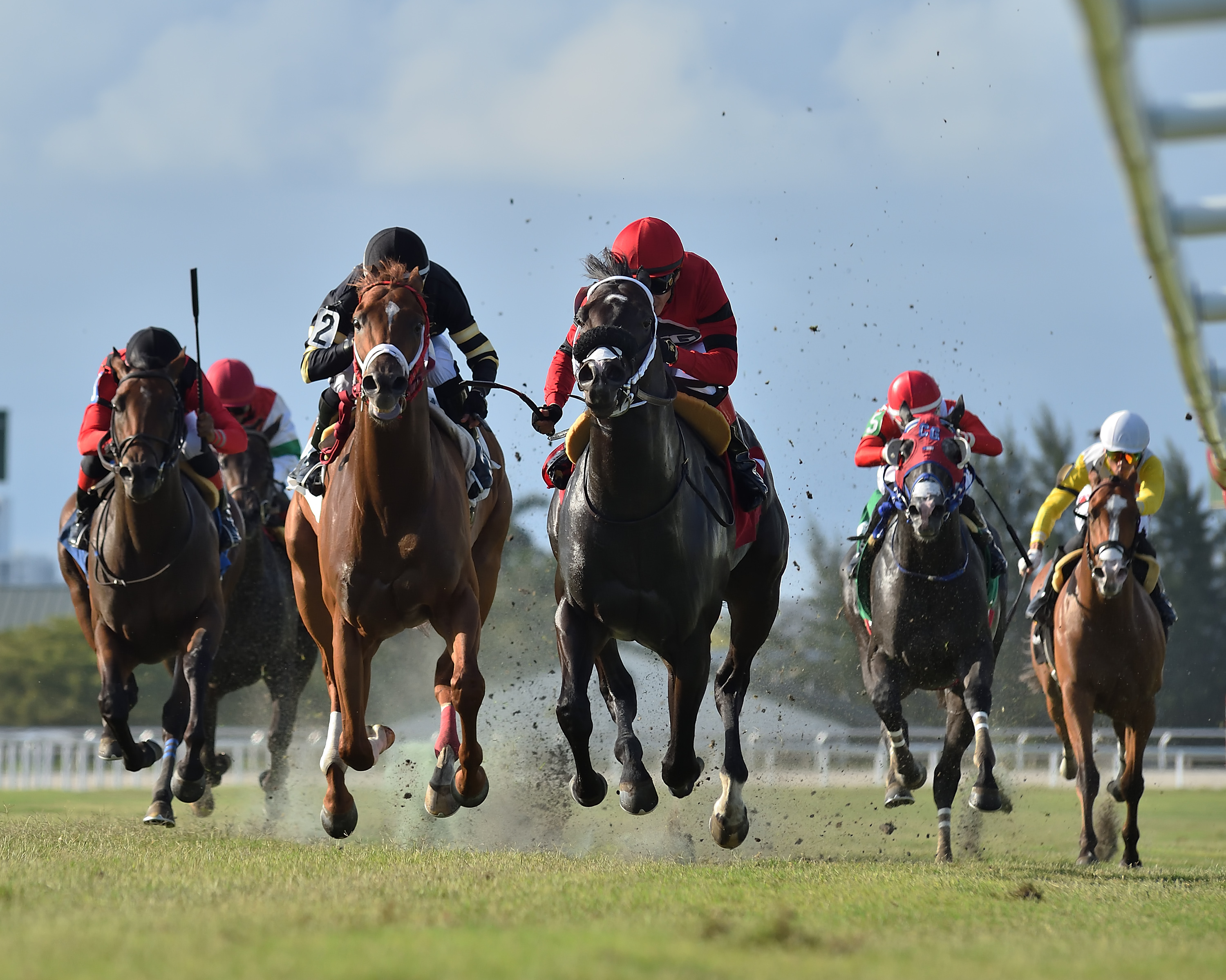 Classicstateofmind wins the Roar at Gulfstream on May 14 2022