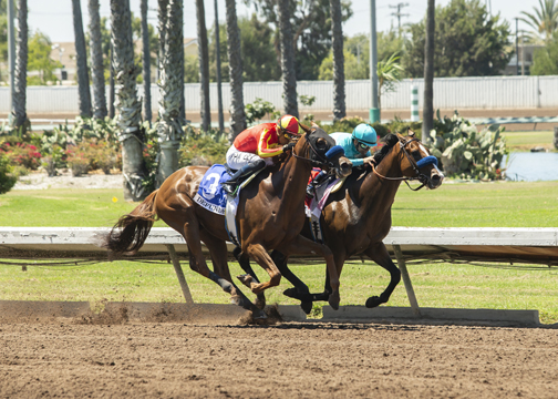 Classier wins Los Alamitos Derby 7-4-2021