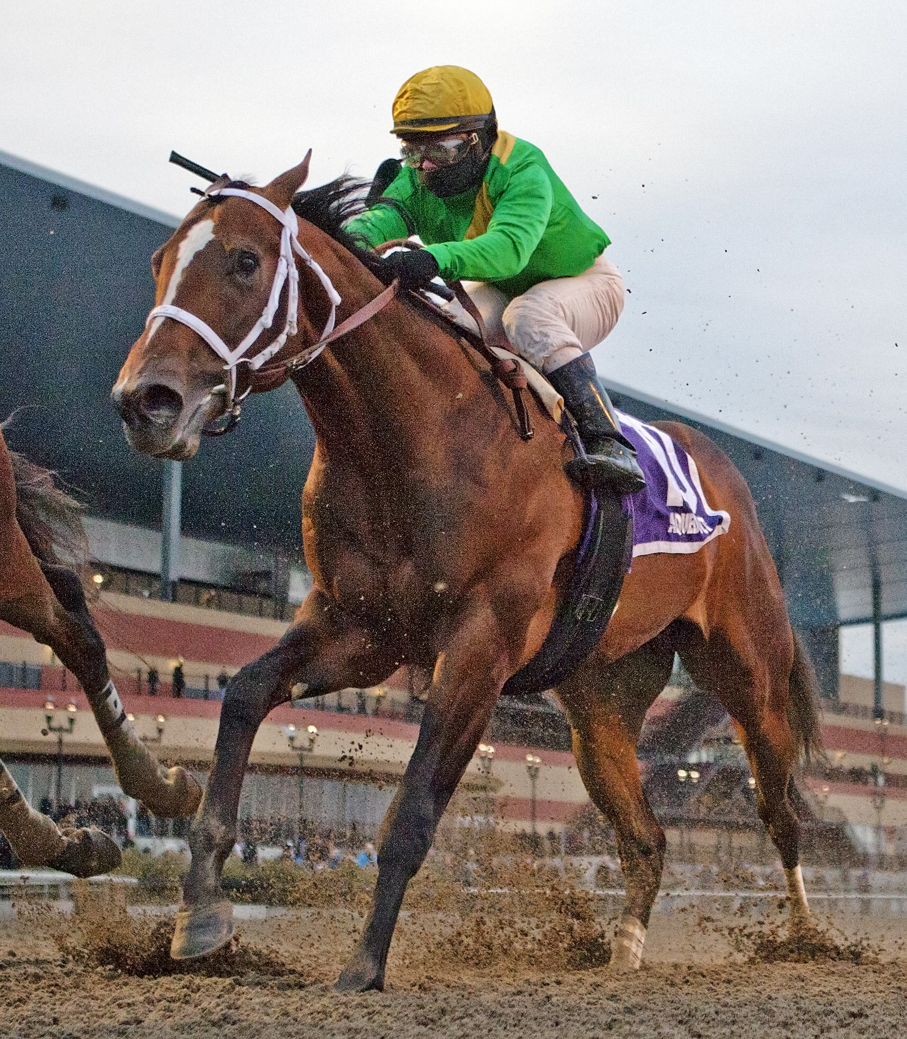 Classy Class finishes fourth in the Remsen