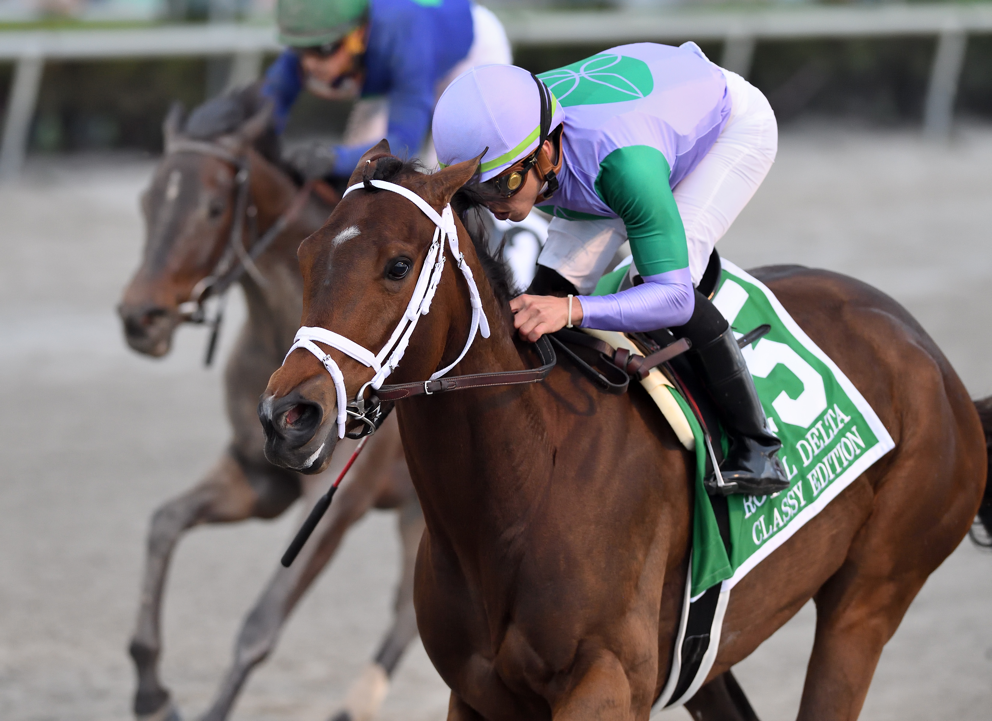 Classy Edition/Royal Delta