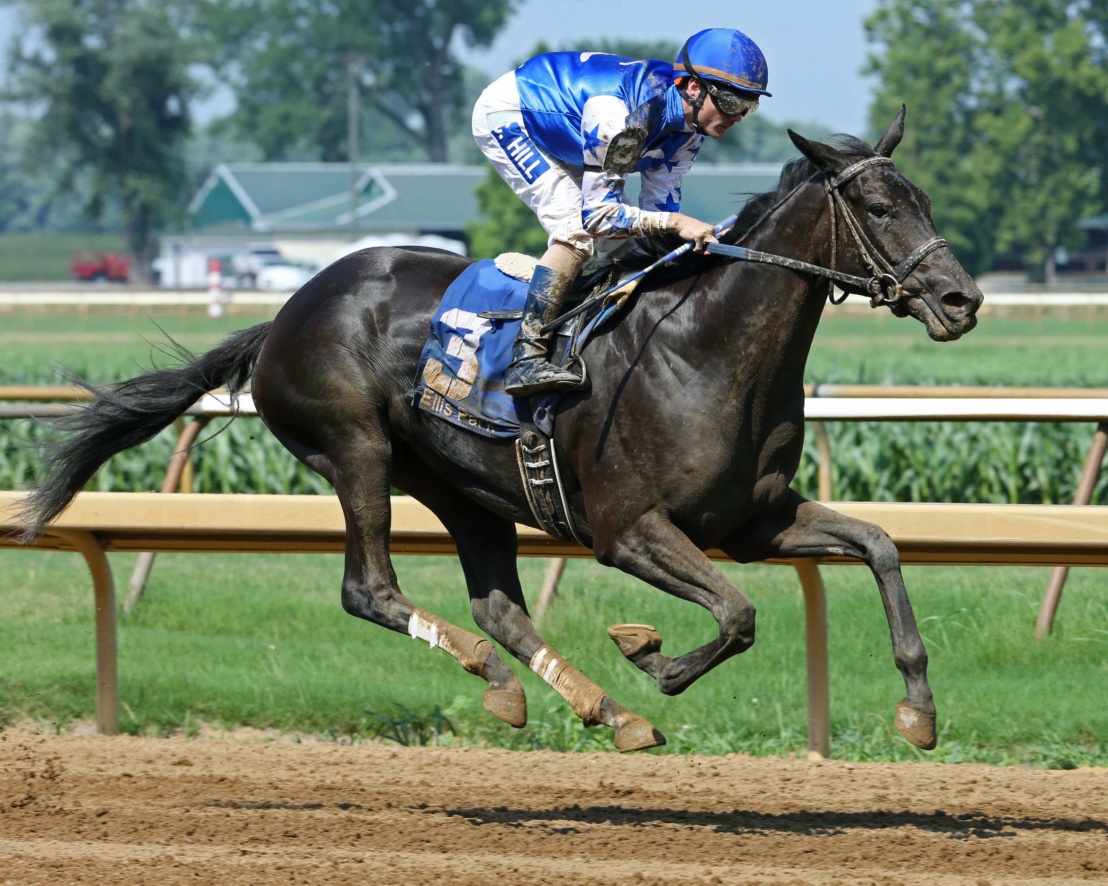 Classy Music wins a July 7 maiden race at Ellis Park