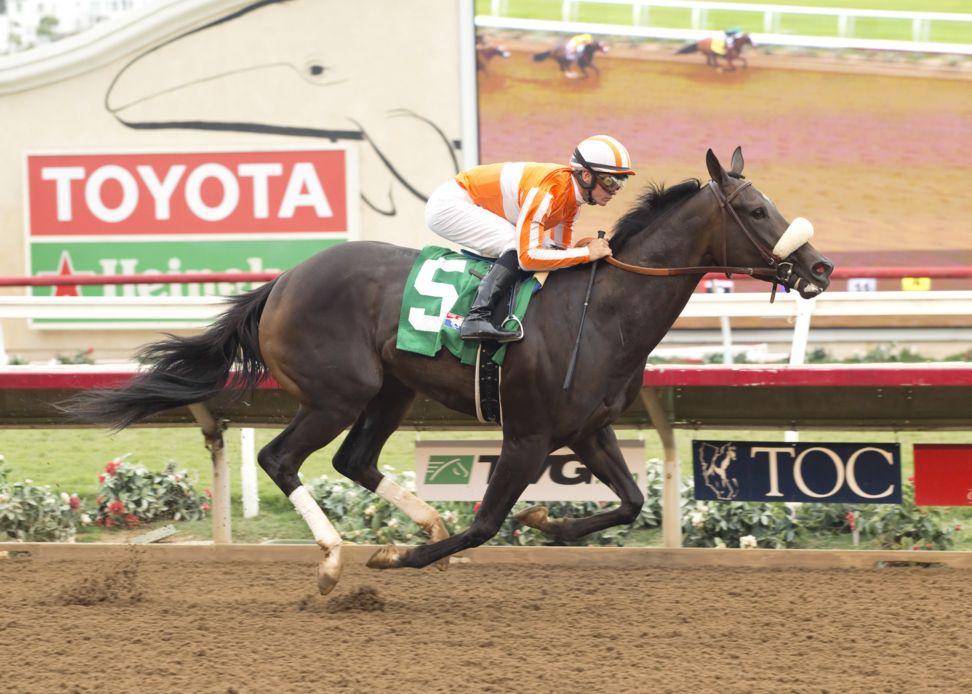 Classy Tune wins an Aug. 20 allowance
