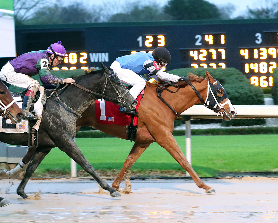 Classy Beast wins a March 14 maiden race at Oaklawn
