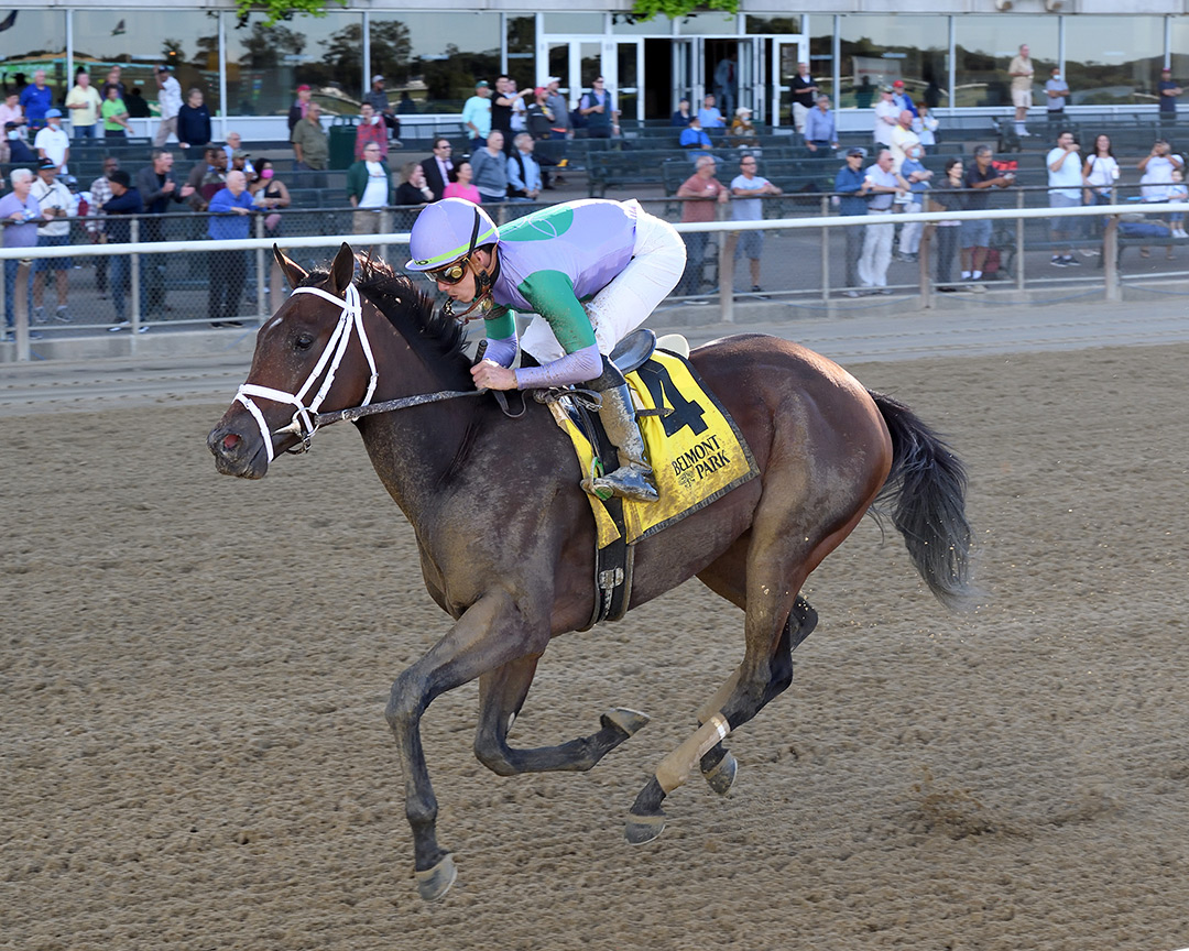 Classy Edition wins the 2021 Joseph Gimma Stakes at Belmont Park