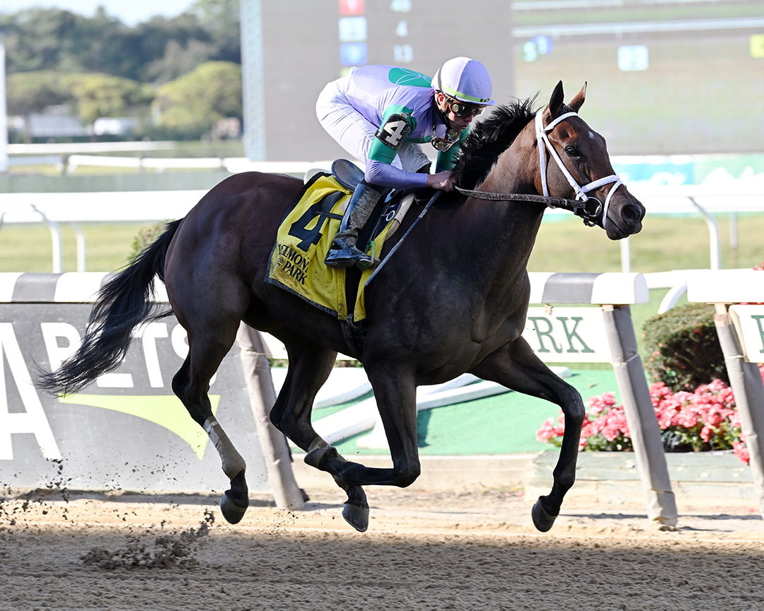 Classy Edition wins the 2021 Joseph A. Gimma Stakes at Belmont Park