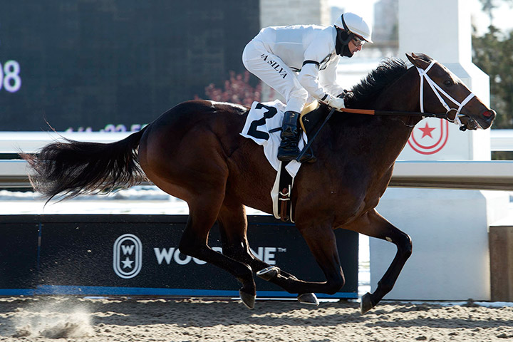 Clayton wins a Nov. 17 maiden race at Woodbine