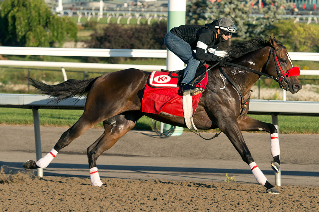 Clayton trains at Woodbine Racetrack on Sept. 9