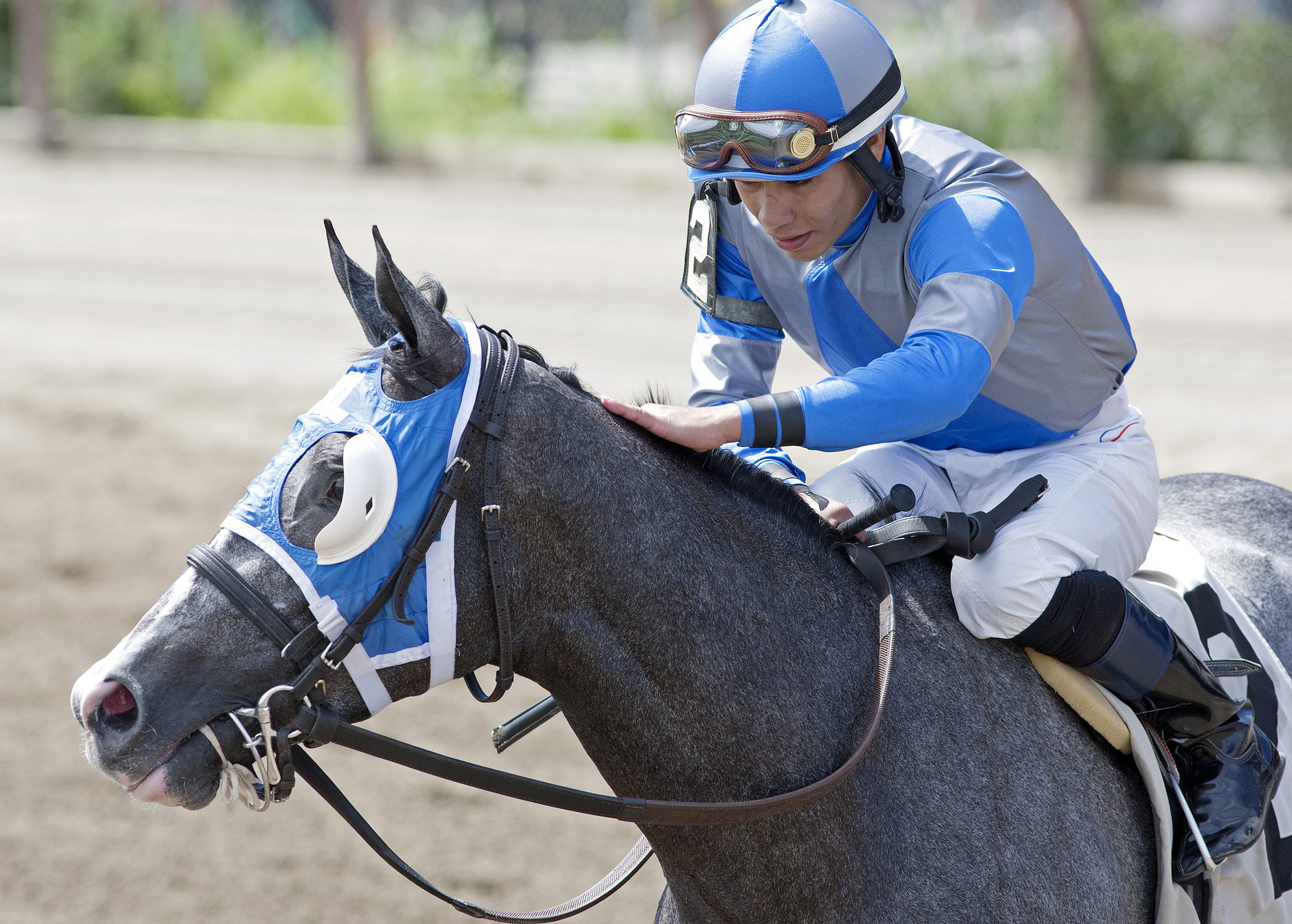 Clear Pasaj after winning the 2013 Lottsa Talc