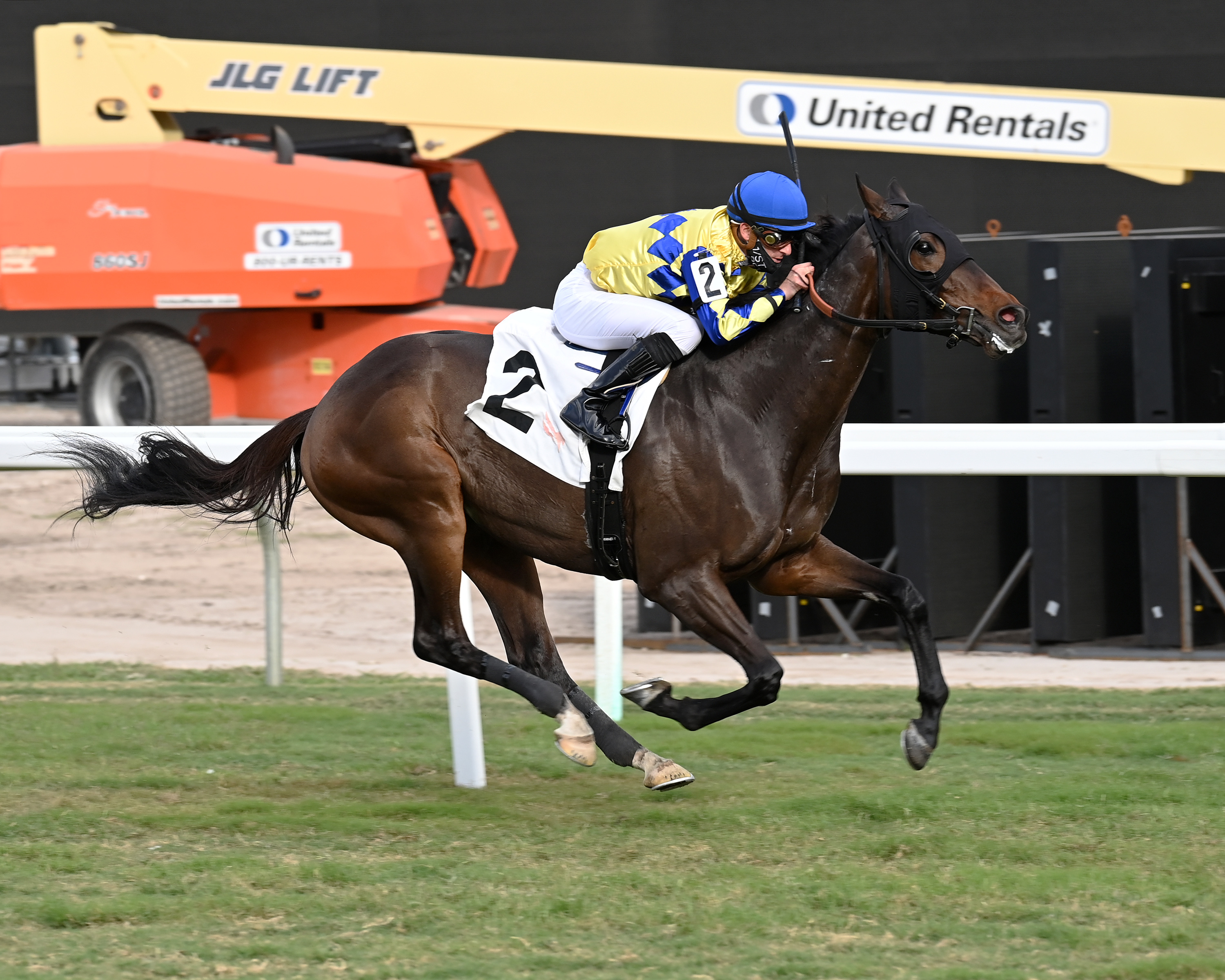 Clear Vision - Tropical Turf S. 2022