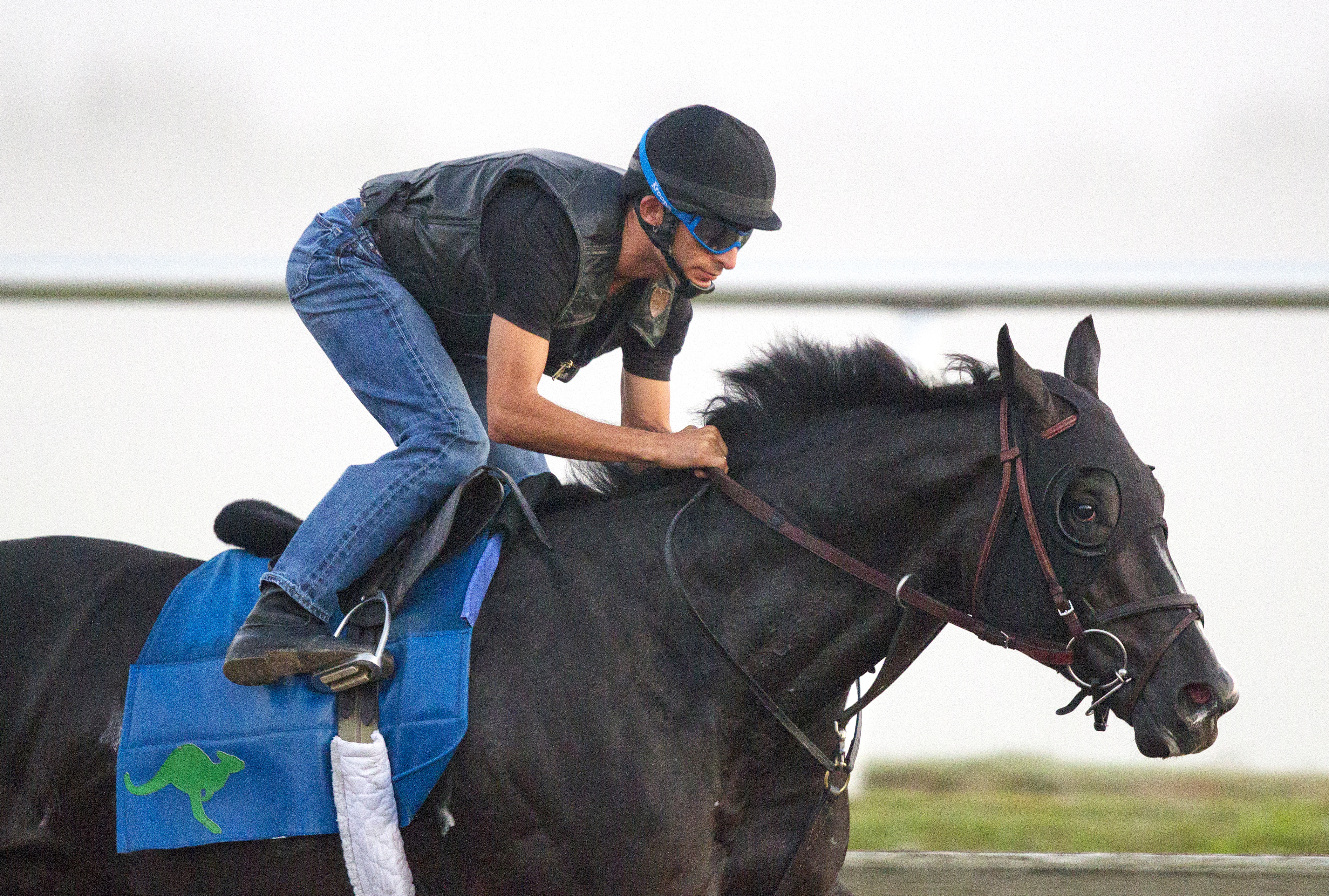 Clearly Now under John Velazquez at Palm Meadows