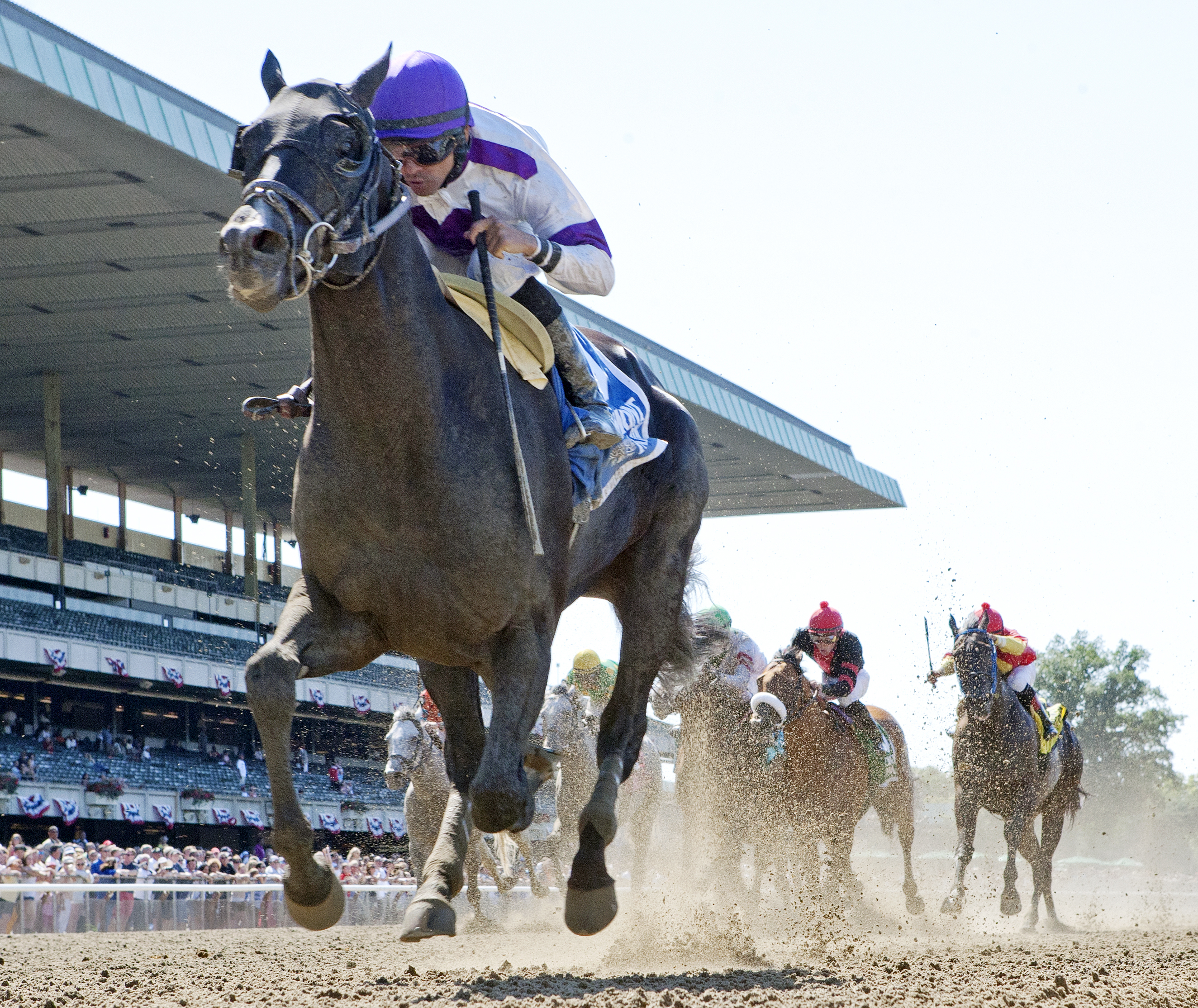 Clearly Now wins the 2014 Belmont Sprint Championship