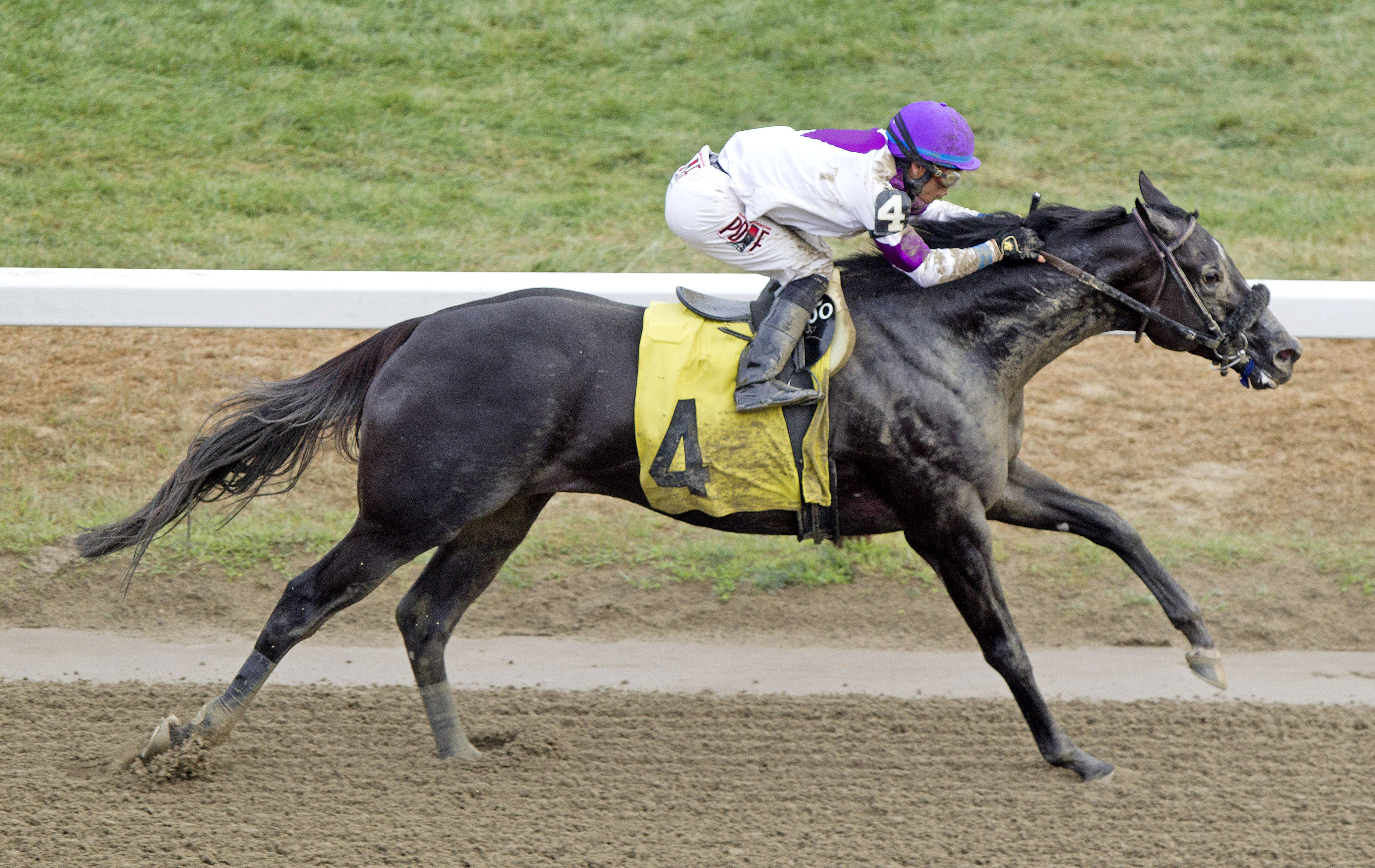 Clearly Now wins an allowance race