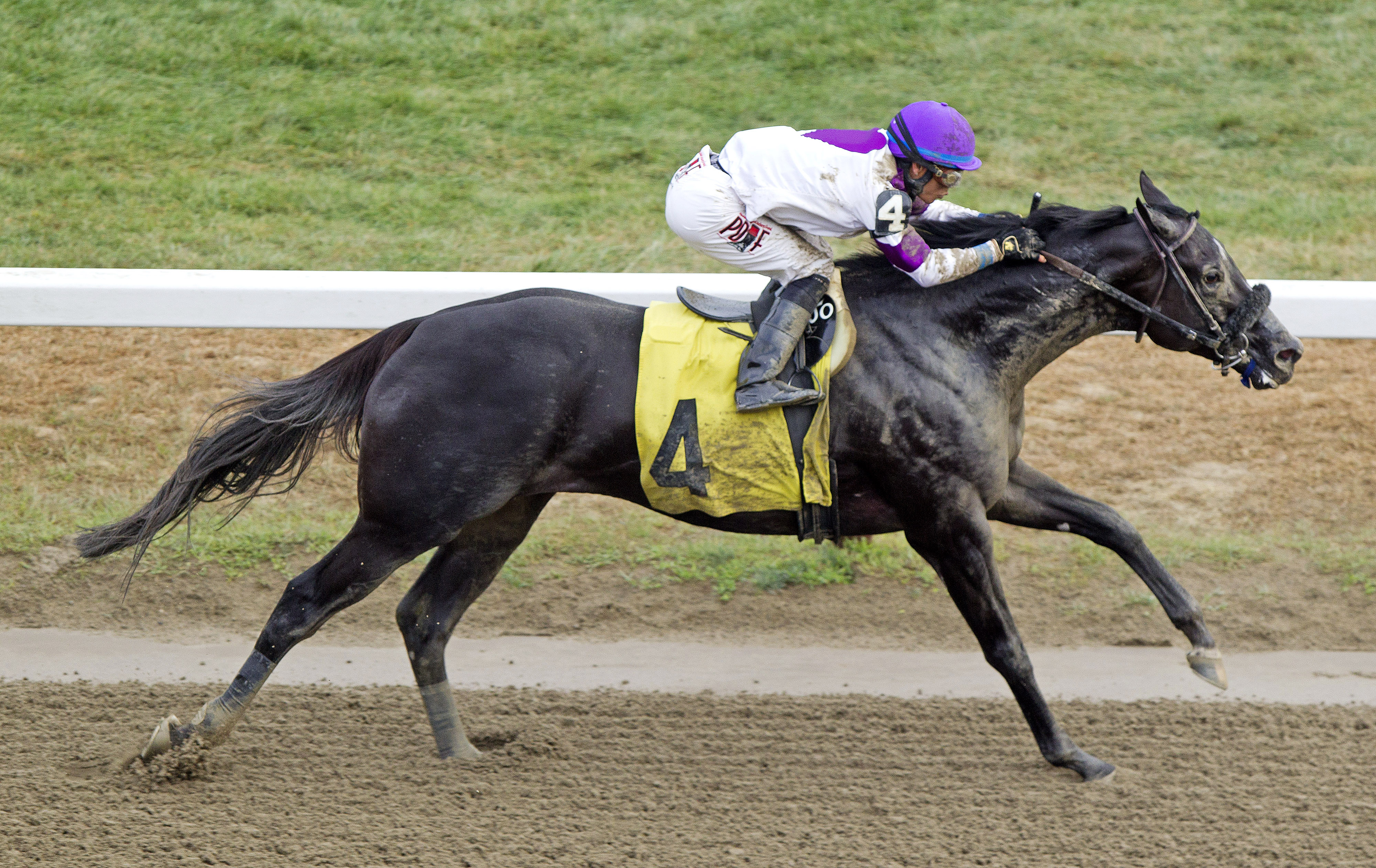 Clearly Now wins an allowance race at Saratoga