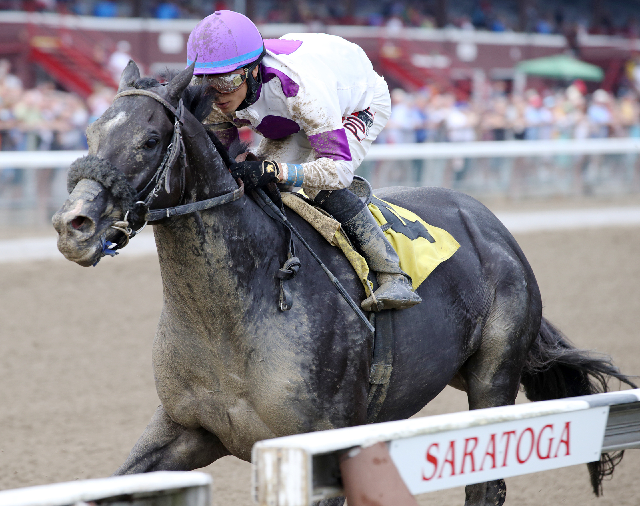 Clearly Now wins an allowance race