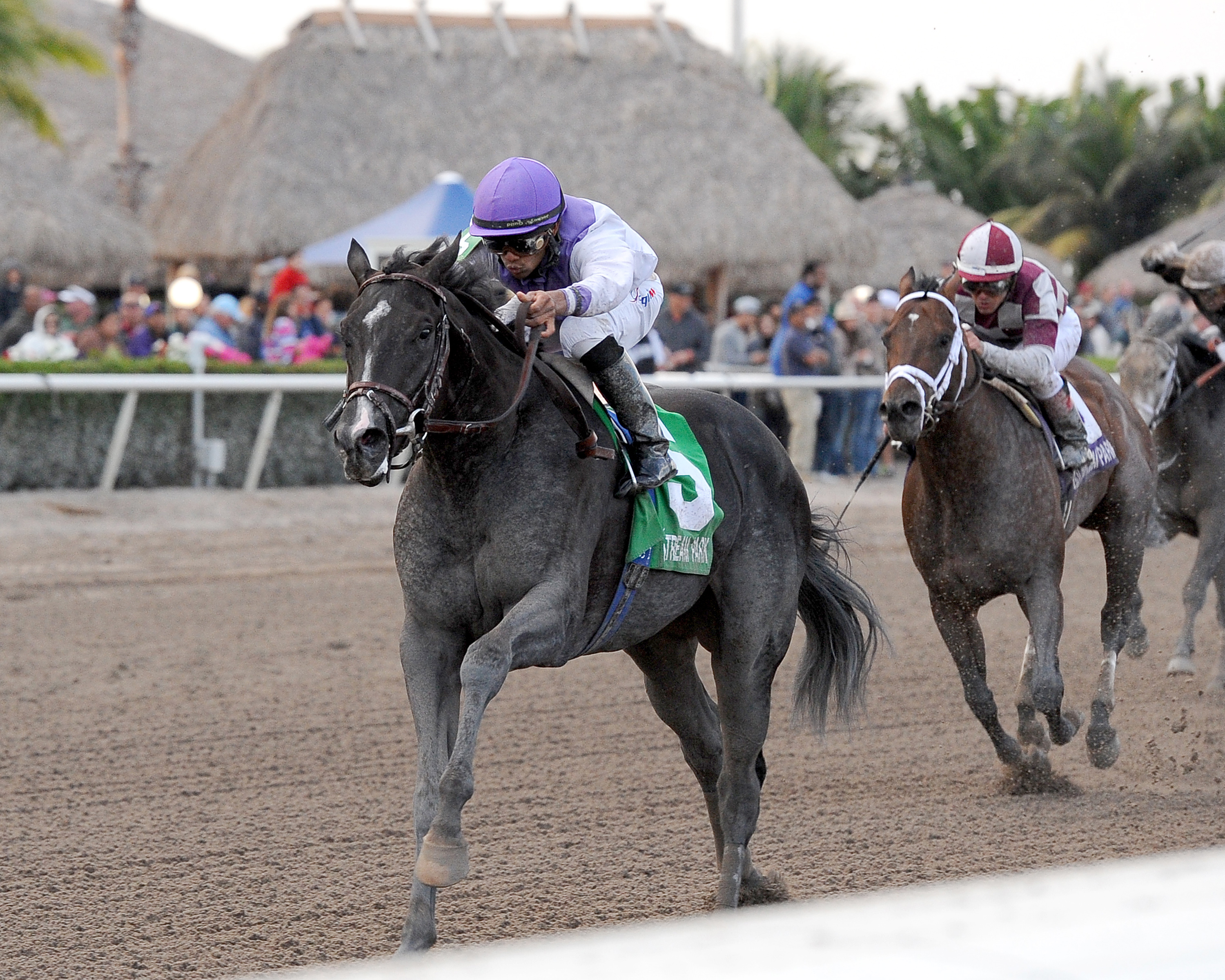 Clearly Now, Swale Stakes
