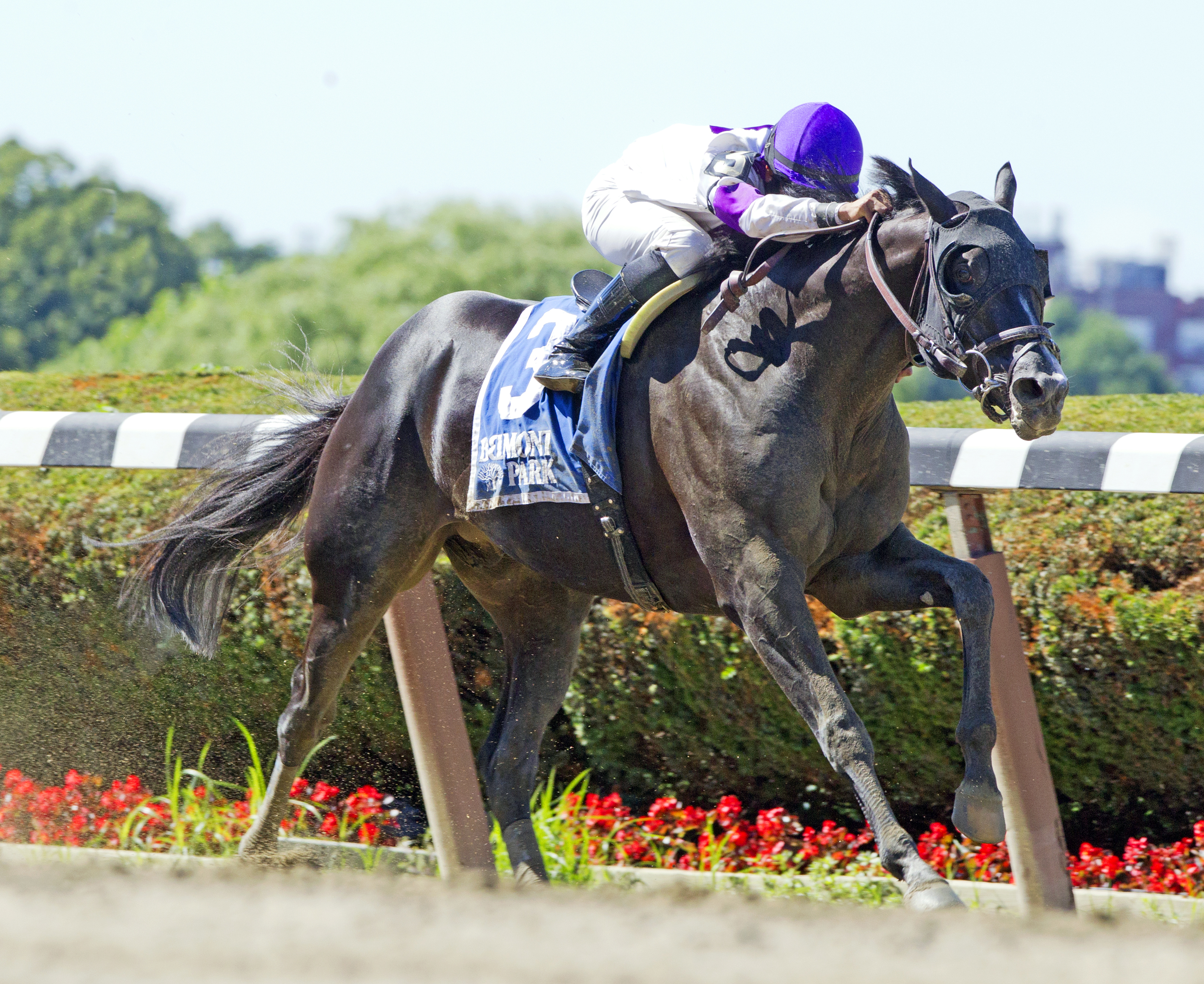 Clearly Now wins the Belmont Sprint Championship