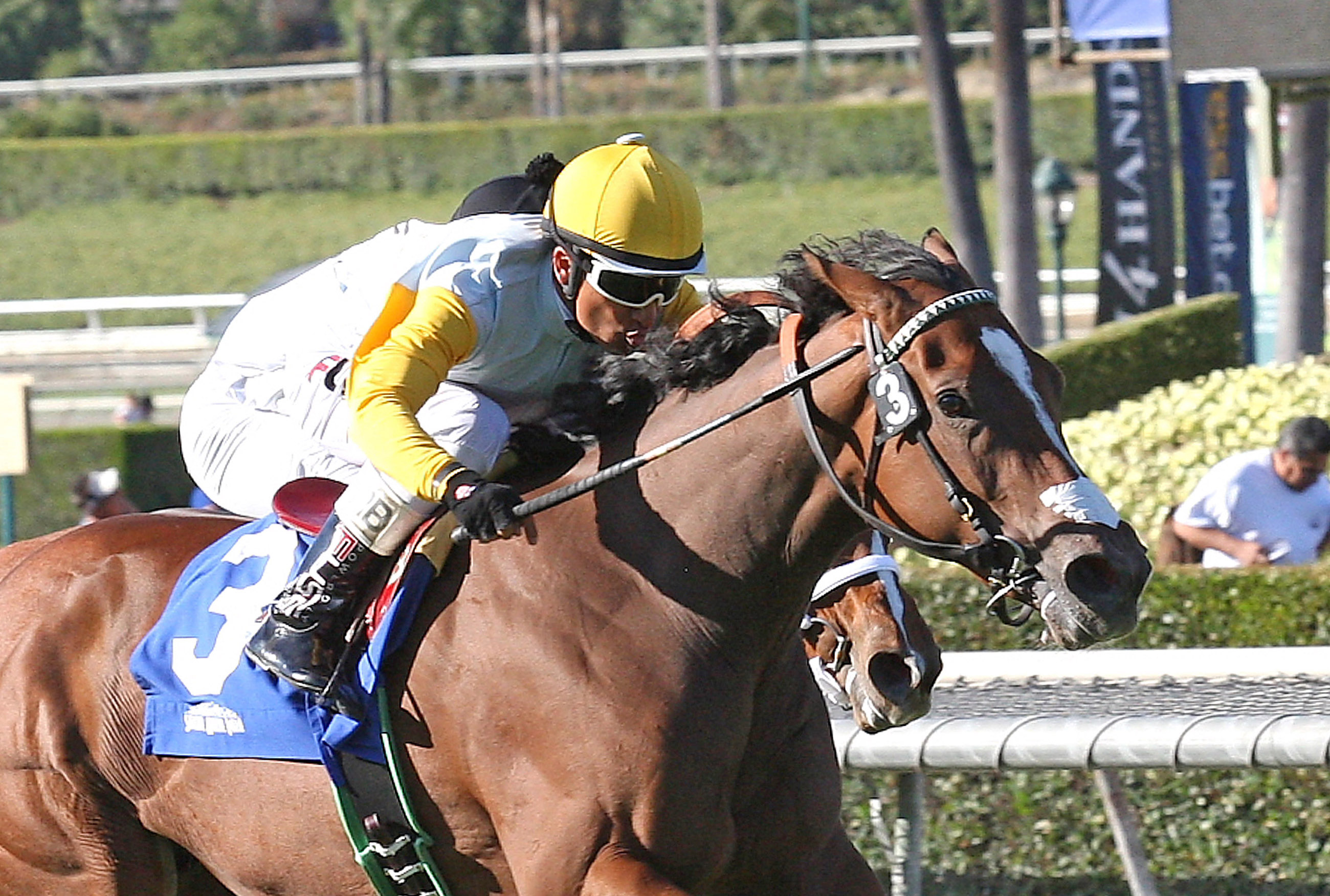 Clenor wins the Surfer Girl Stakes