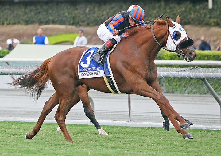 Cleopatra's Strike wins the 2019 John Henry Turf Championship at Santa Anita Park