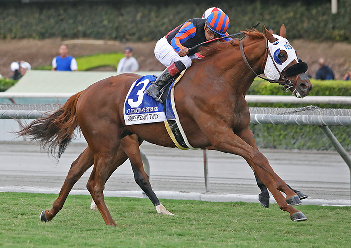 Cleopatra's Strike wins the 2019 John Henry Turf Championship at Santa Anita Park