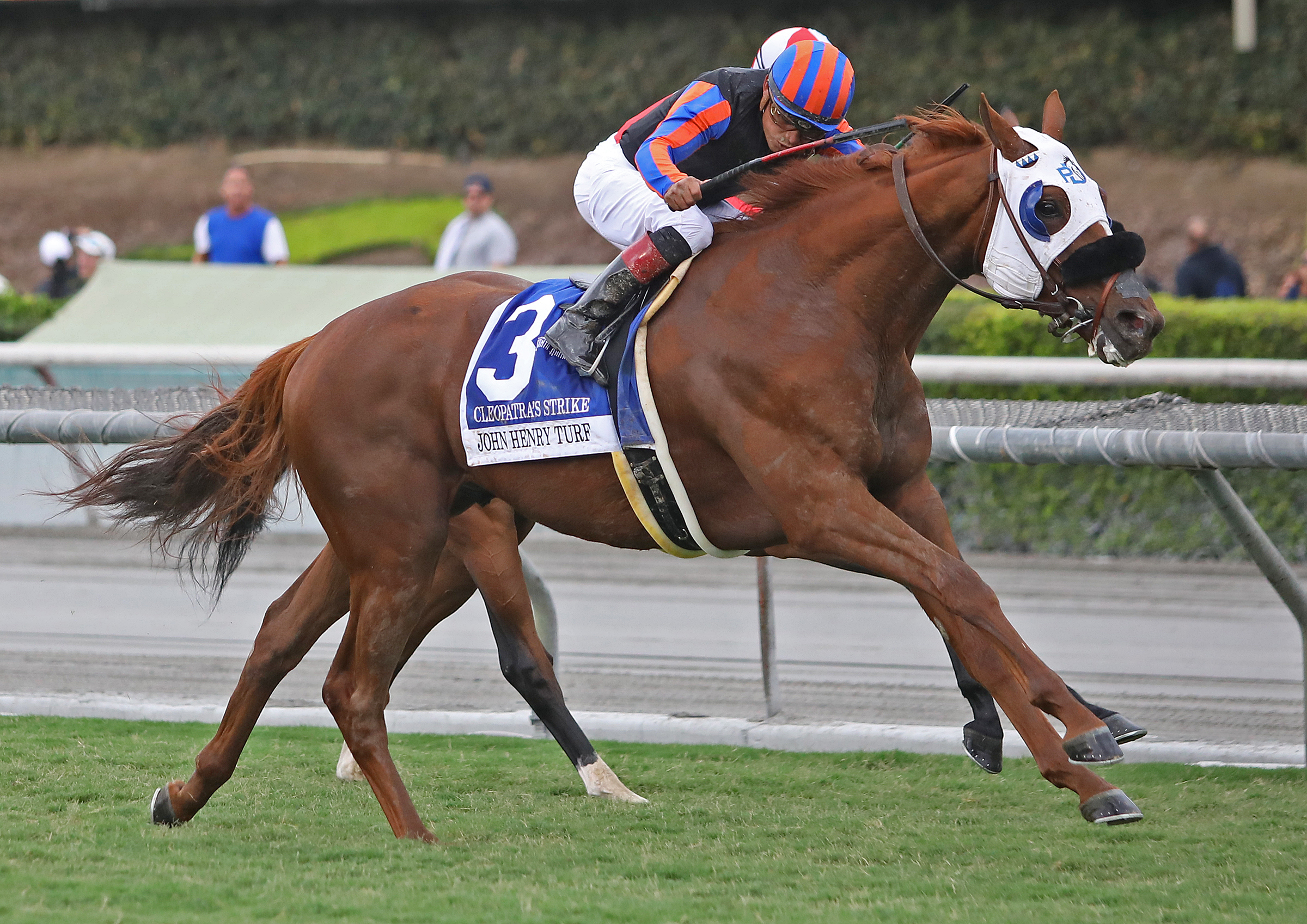 Cleopatras Strike wins the 2019 John Henry Turf Championship
