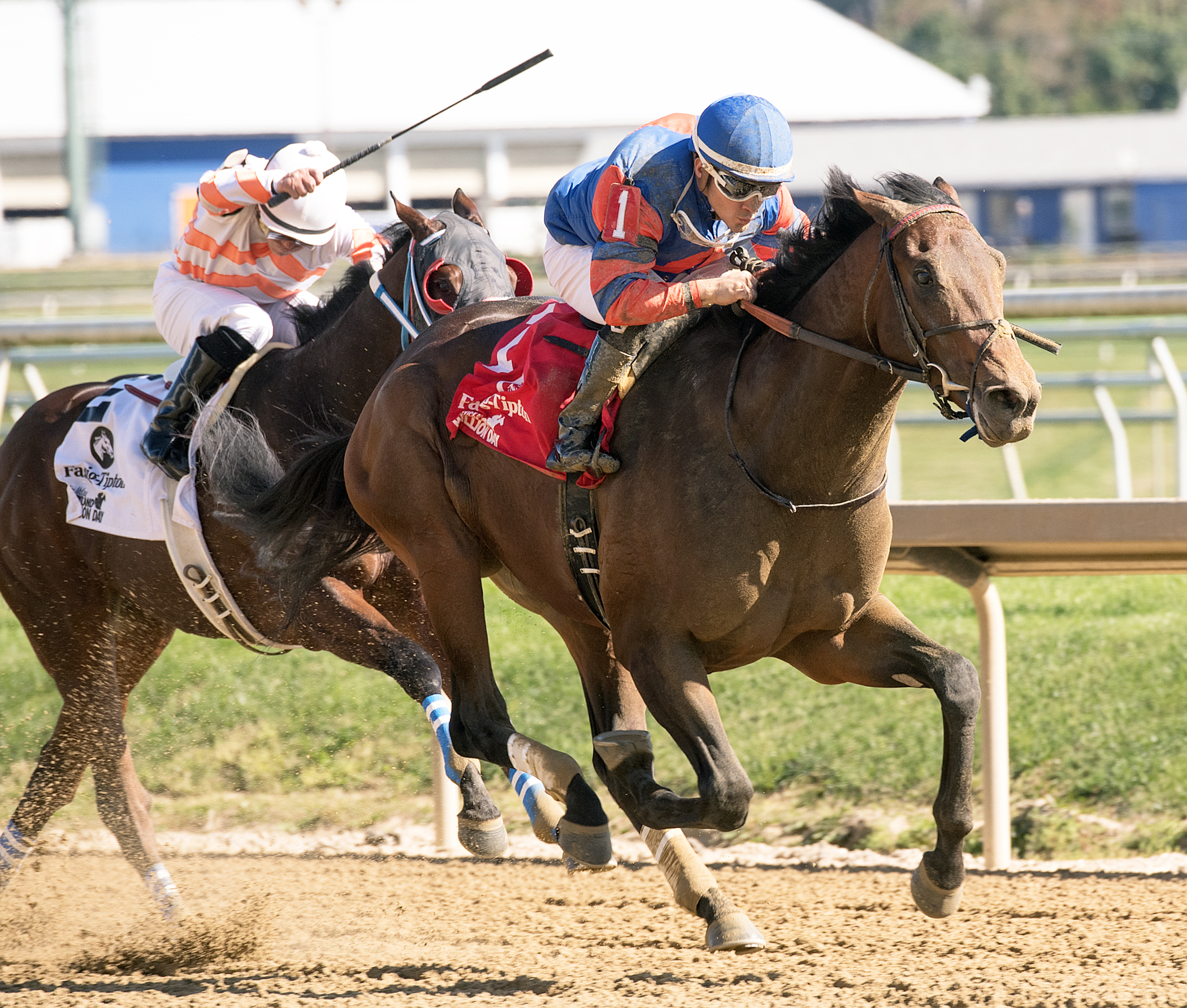 Clever Mind wins the Maryland Million Nursery Stakes